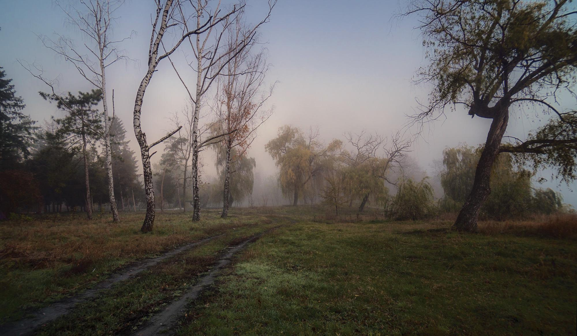 Пейзажная фотография Молдова. Recstudiofilm — Фото видео услуги на свадьбу в Молдове