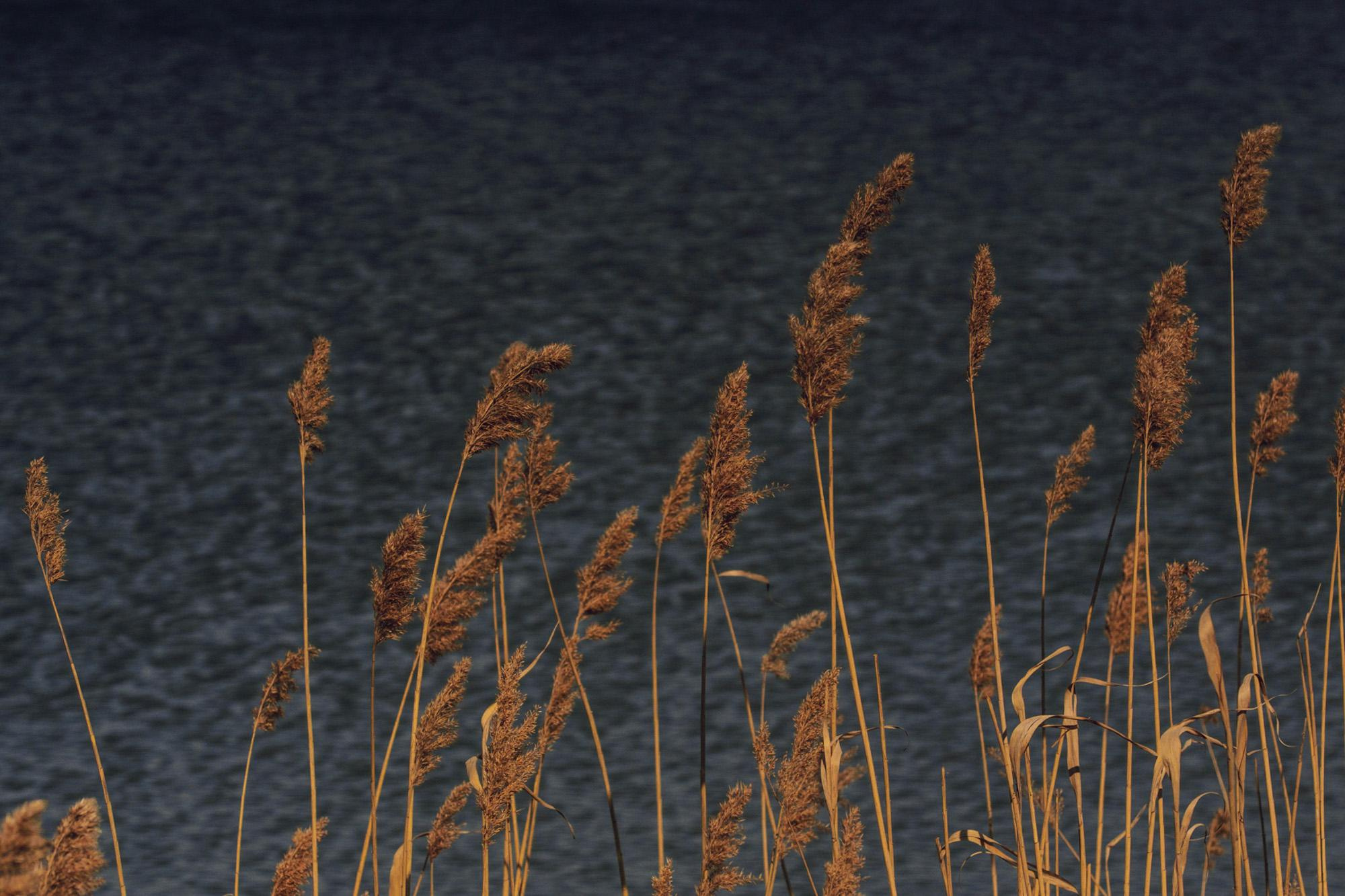 Пейзажная фотография Молдова. Recstudiofilm — Фото видео услуги на свадьбу в Молдове