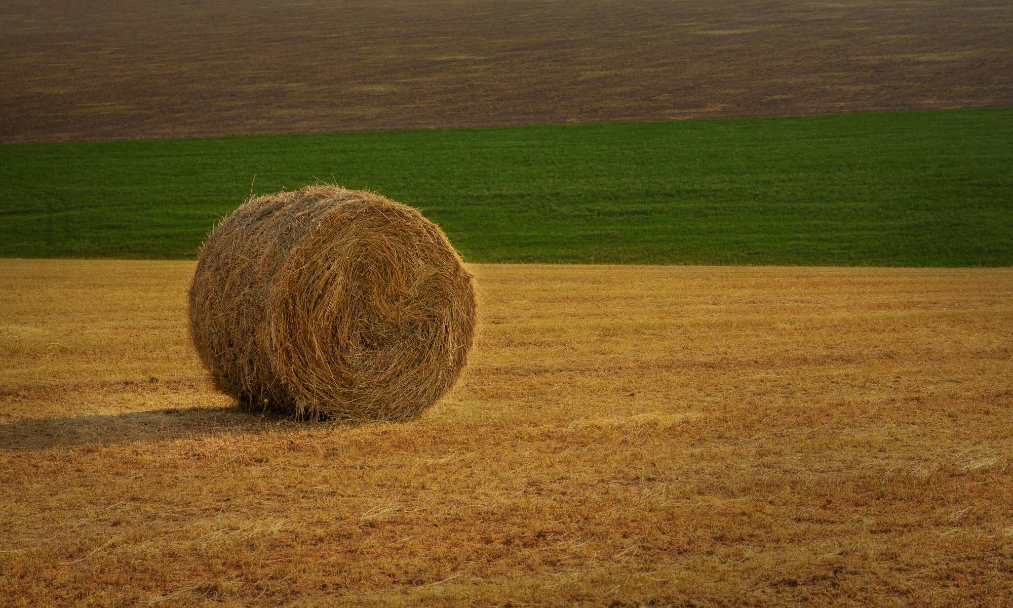 Пейзажная фотография Молдова. Recstudiofilm — Фото видео услуги на свадьбу в Молдове