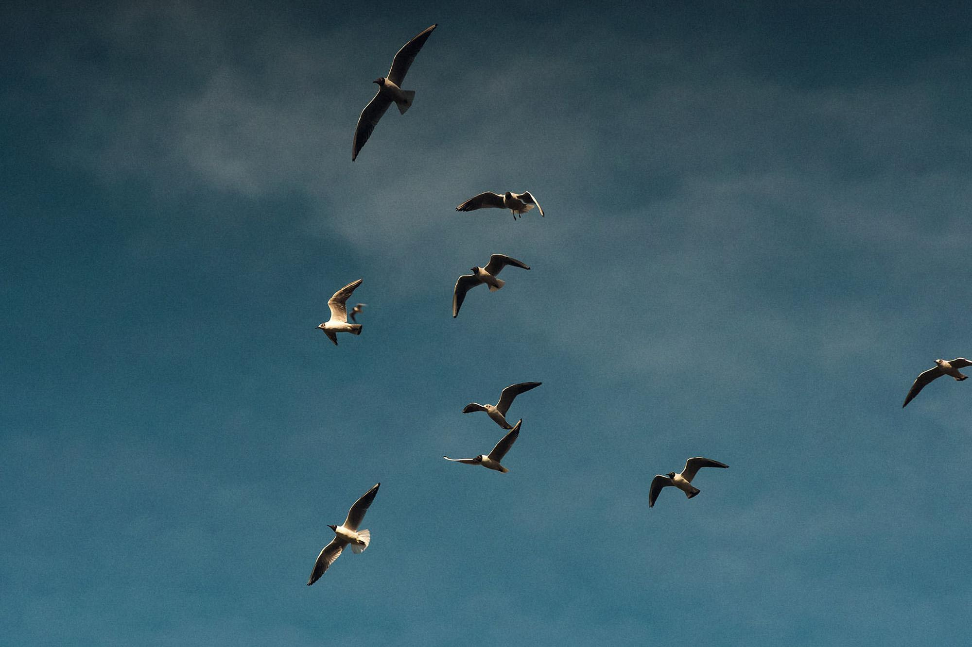 Пейзажная фотография Молдова. Recstudiofilm — Фото видео услуги на свадьбу в Молдове