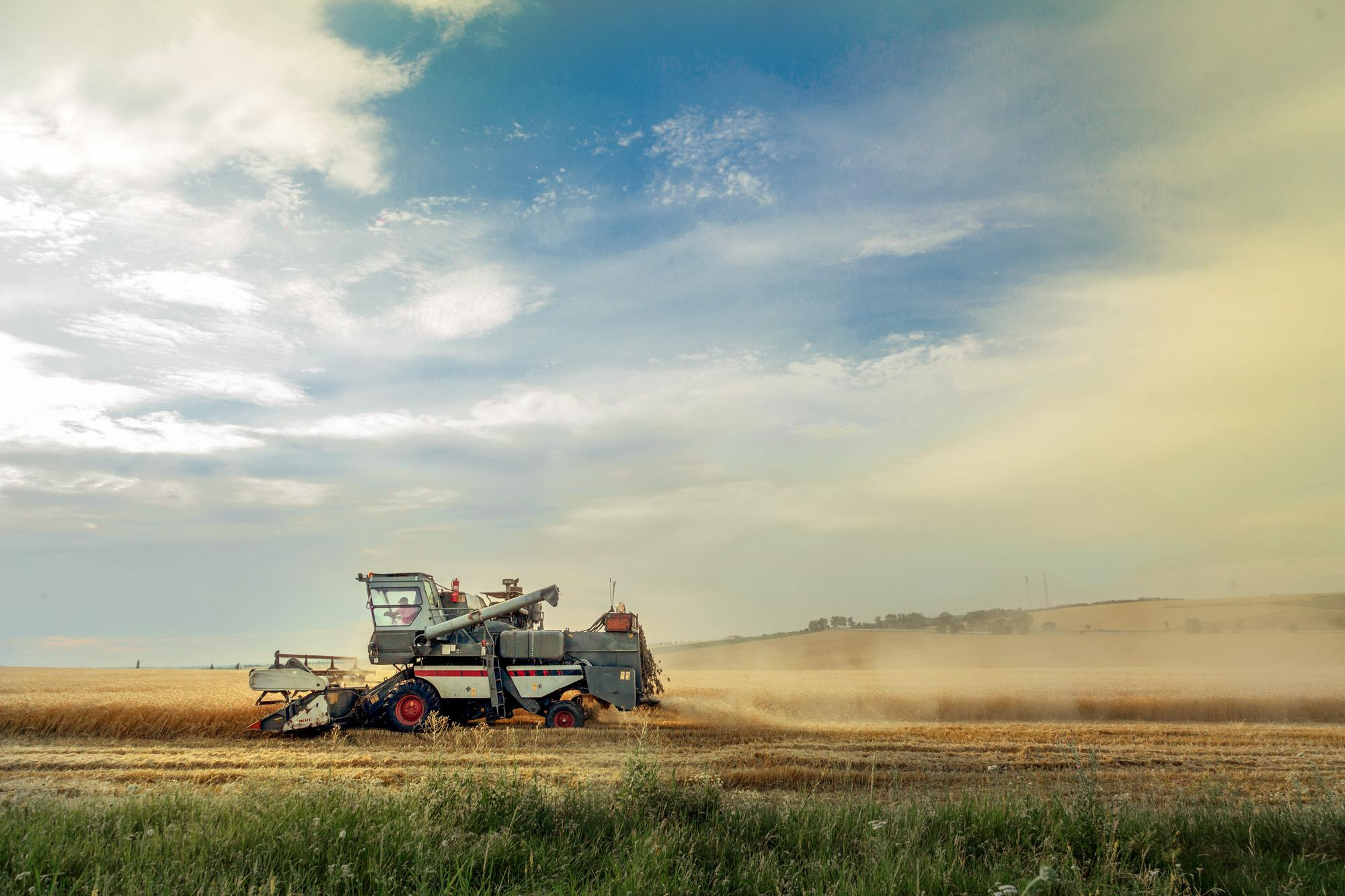 Пейзажная фотография Молдова. Recstudiofilm — Фото видео услуги на свадьбу в Молдове