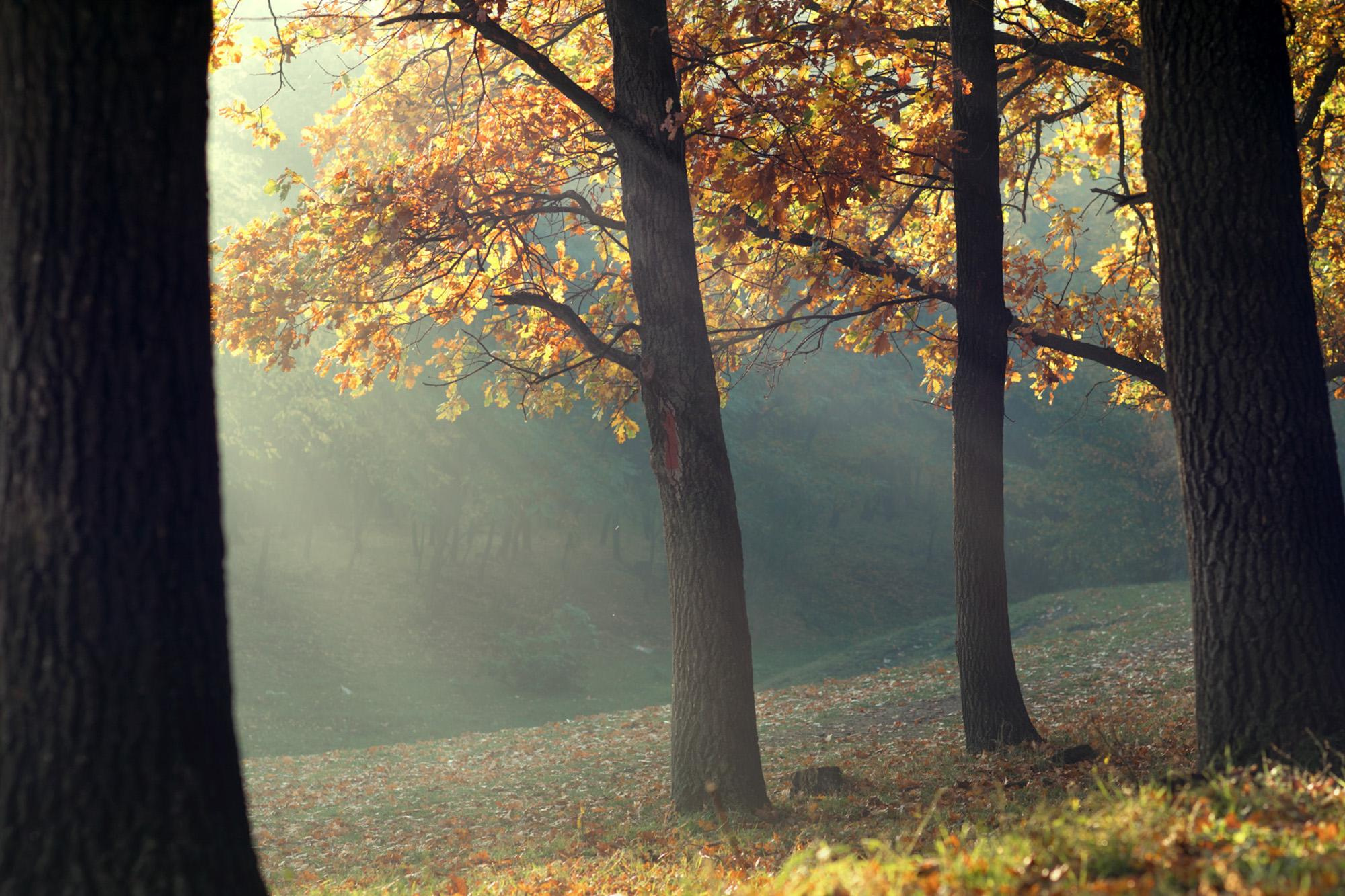 Пейзажная фотография Молдова. Recstudiofilm — Фото видео услуги на свадьбу в Молдове