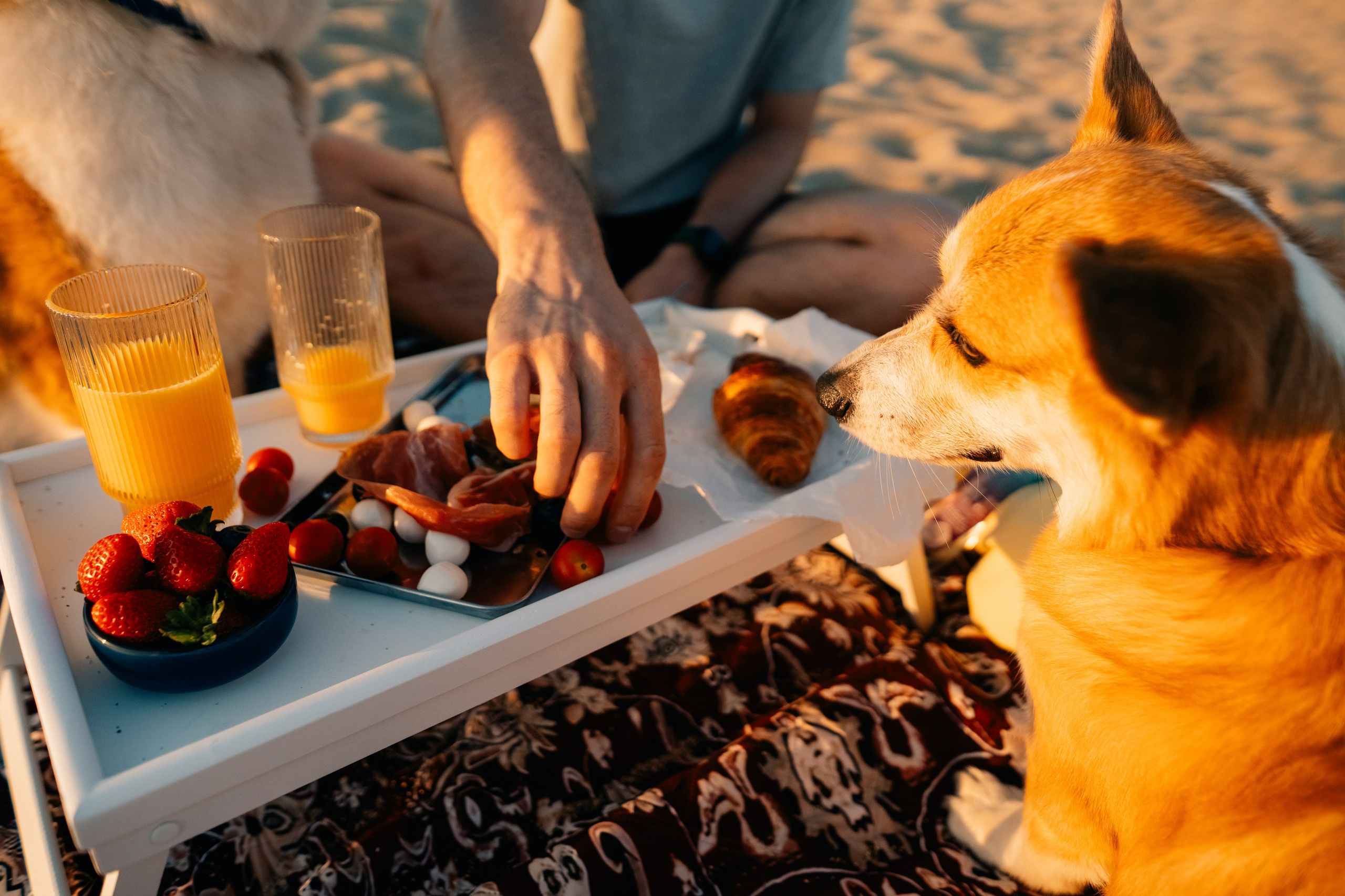 Anya & Dima. Maria Sher. Fotógrafa profissional do Porto, Portugal