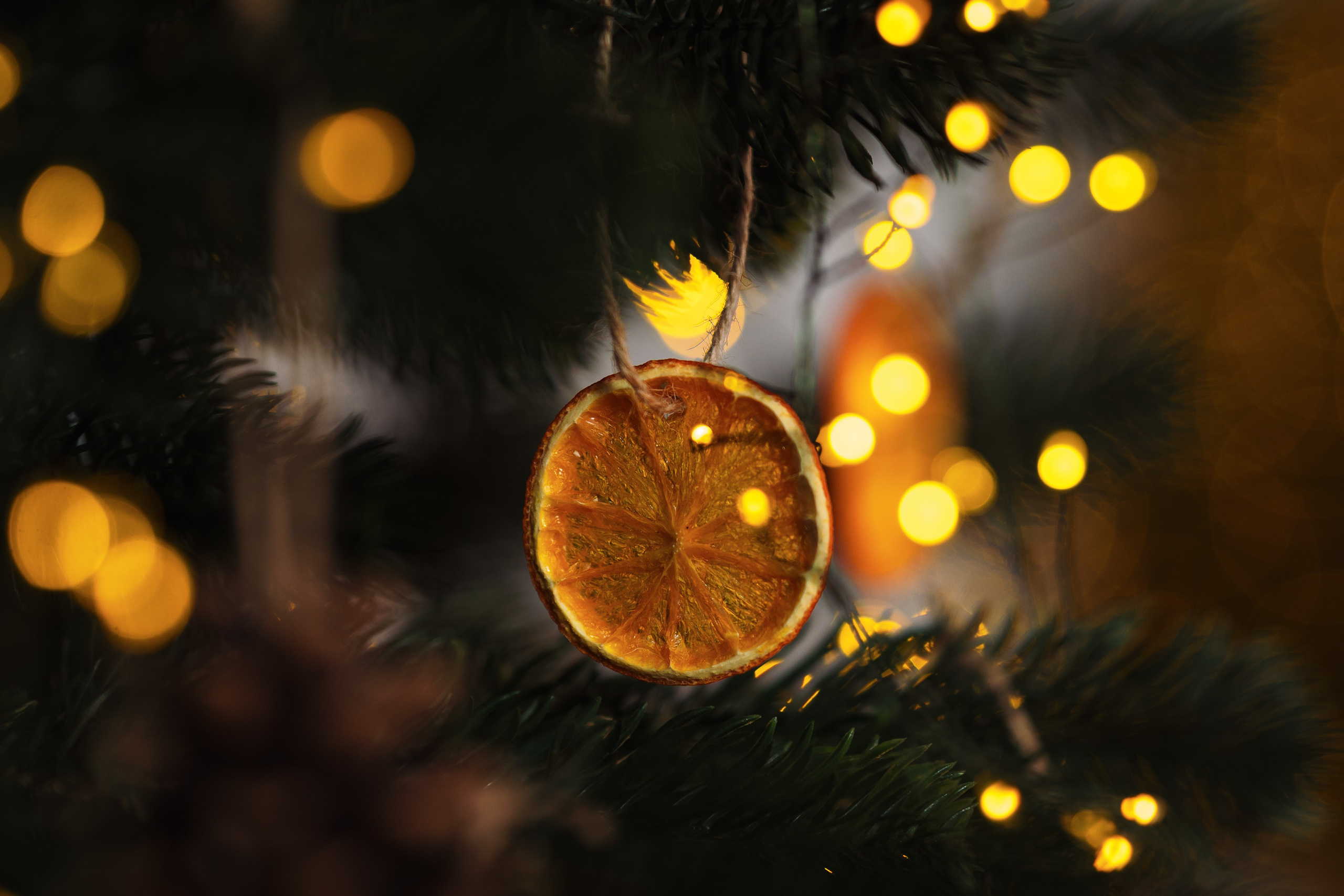 Decor Craciun 2023. Raw Studio. Fotograful tau de nunta!