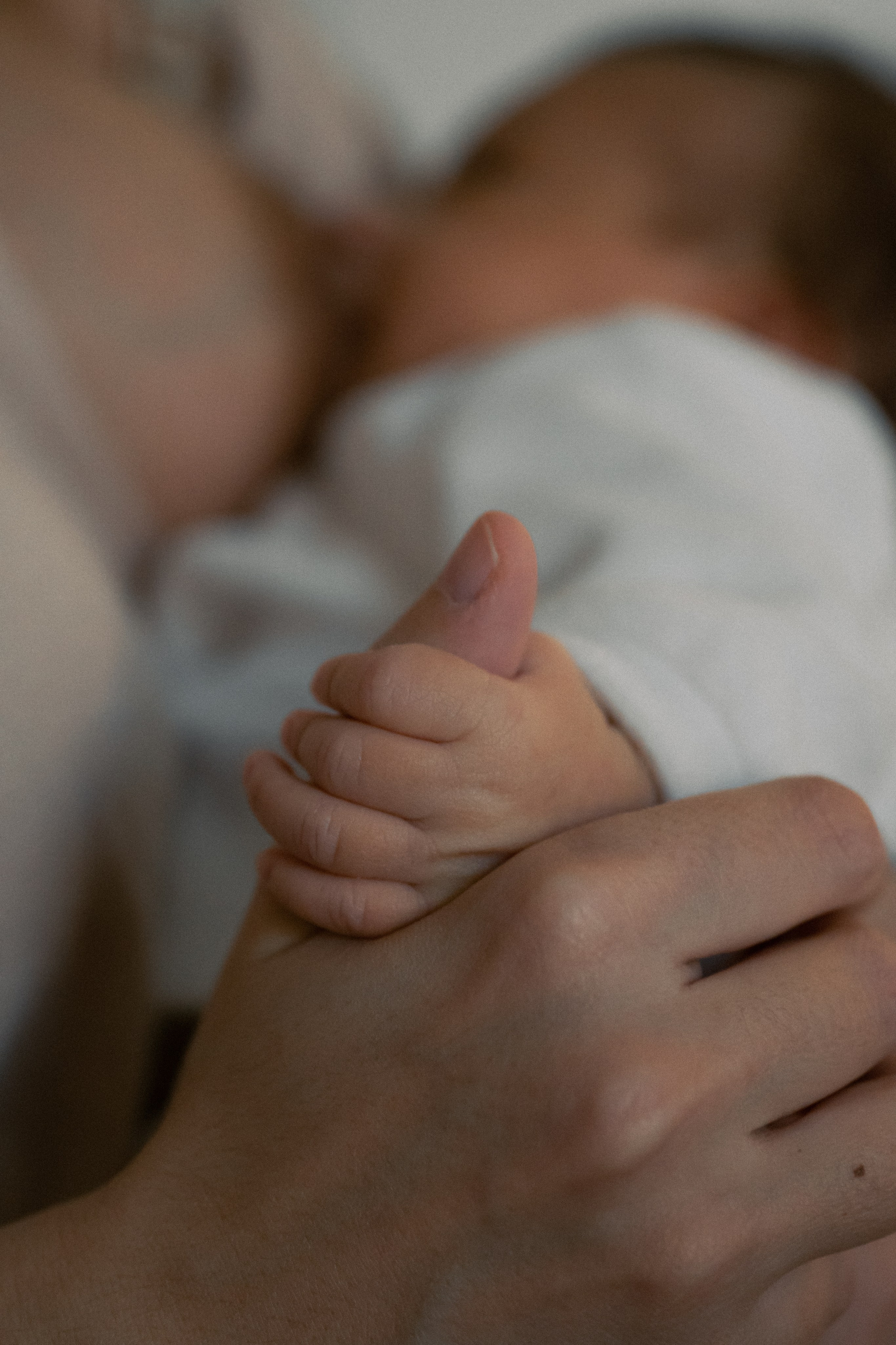 Family and Children Portraits. Alyona Nikolaeva — fotografo a Lecce