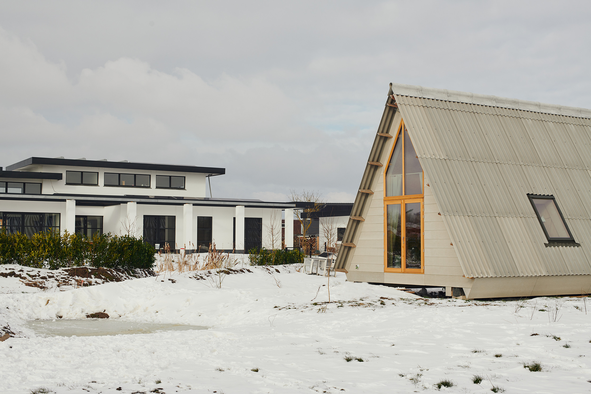 Oosterwold Almere Architecture. Portrait Photographer in Brussels & Amsterdam — Victoria Ushkanova