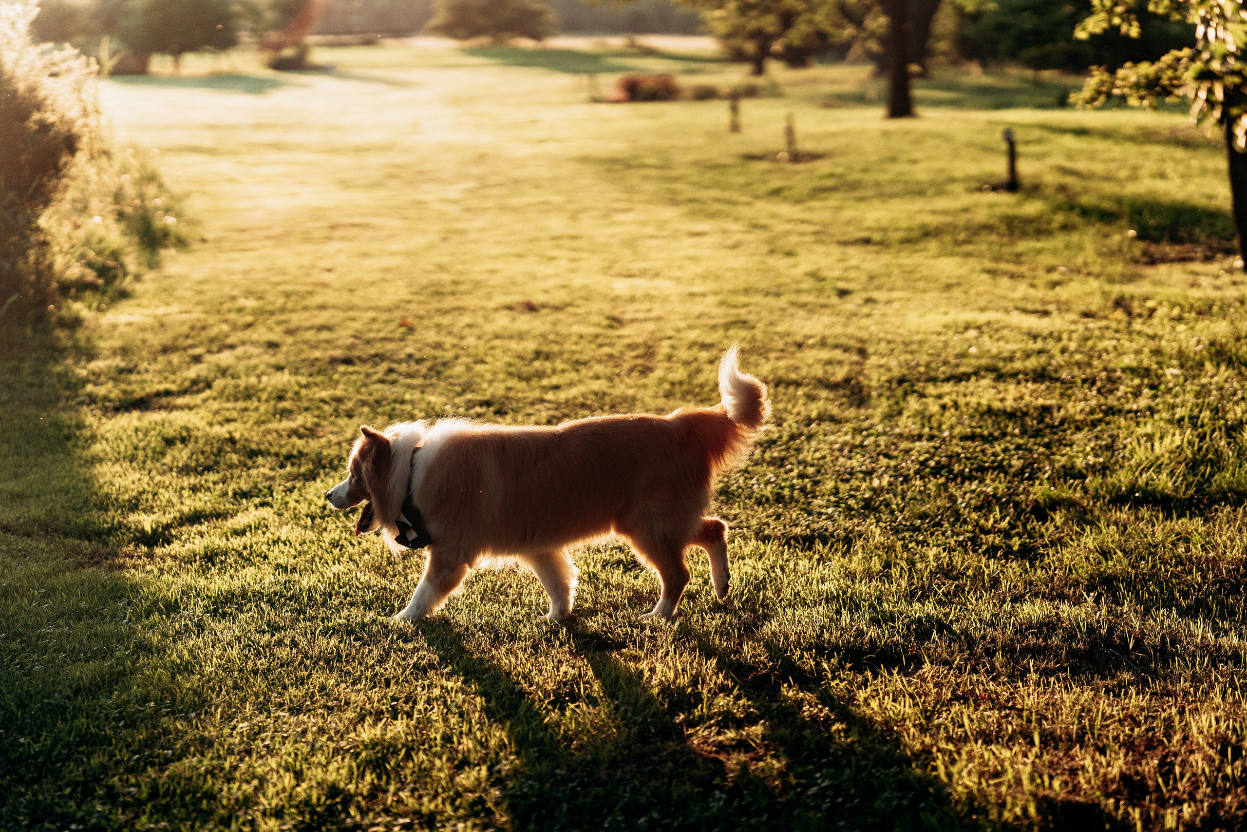 D&P. SL Wedding Photo: ponadczasowa 💍 fotografia ślubna | Wrocław & Europa