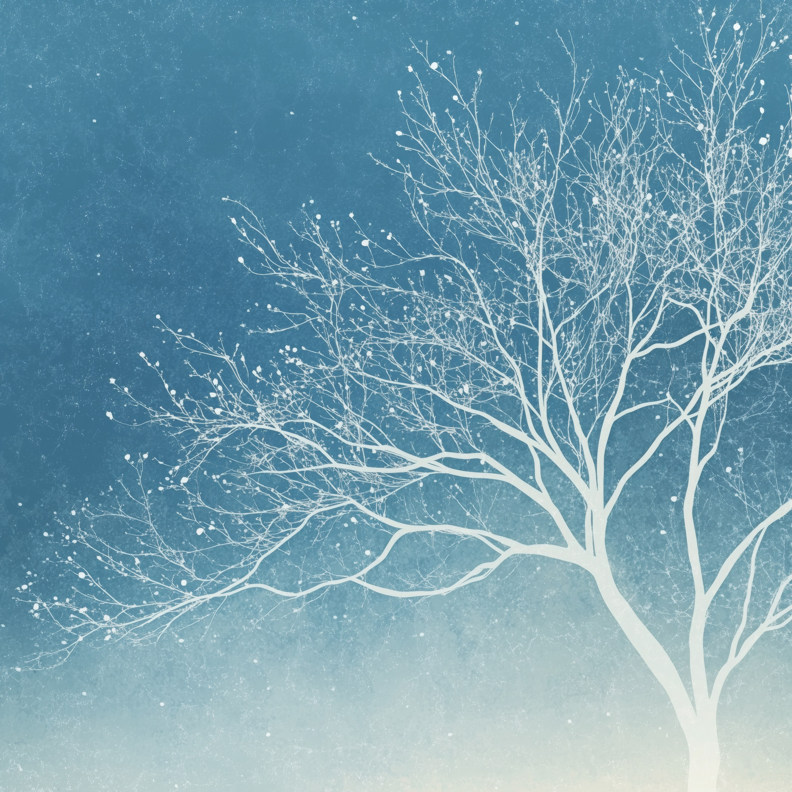 Silent symphony of winter. Lolly Shine. Contemporary digital artist