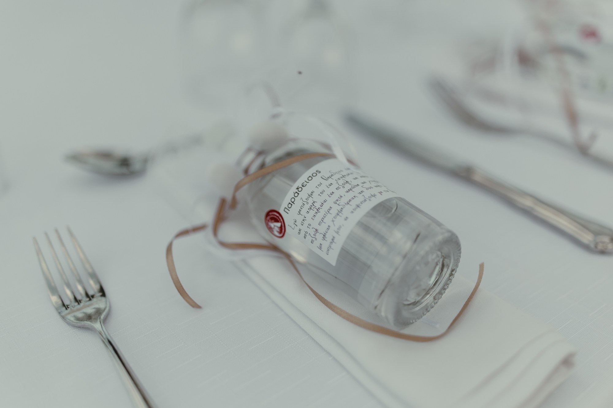 Lambros-Adriana. Fotograf și videograf de nuntă R. Moldova, Romania