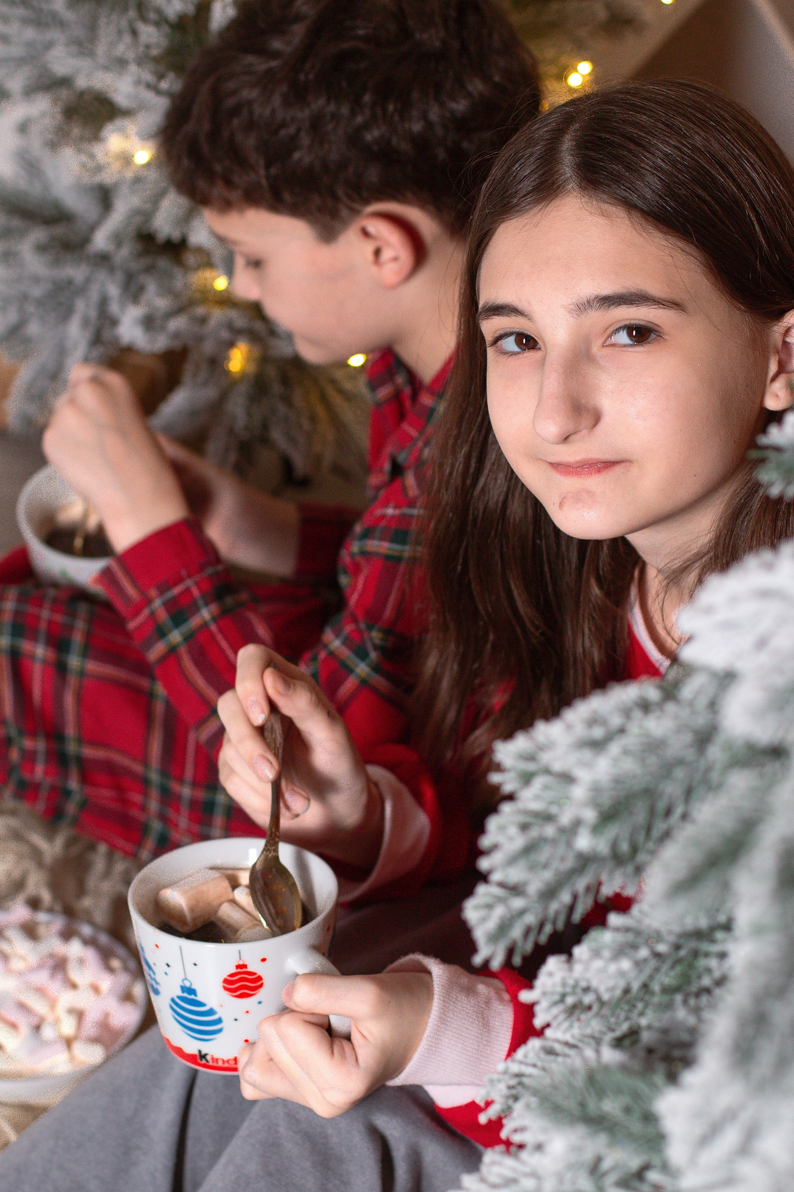 Новый год в студии. Детский и семейный фотограф в г. Бельцы
