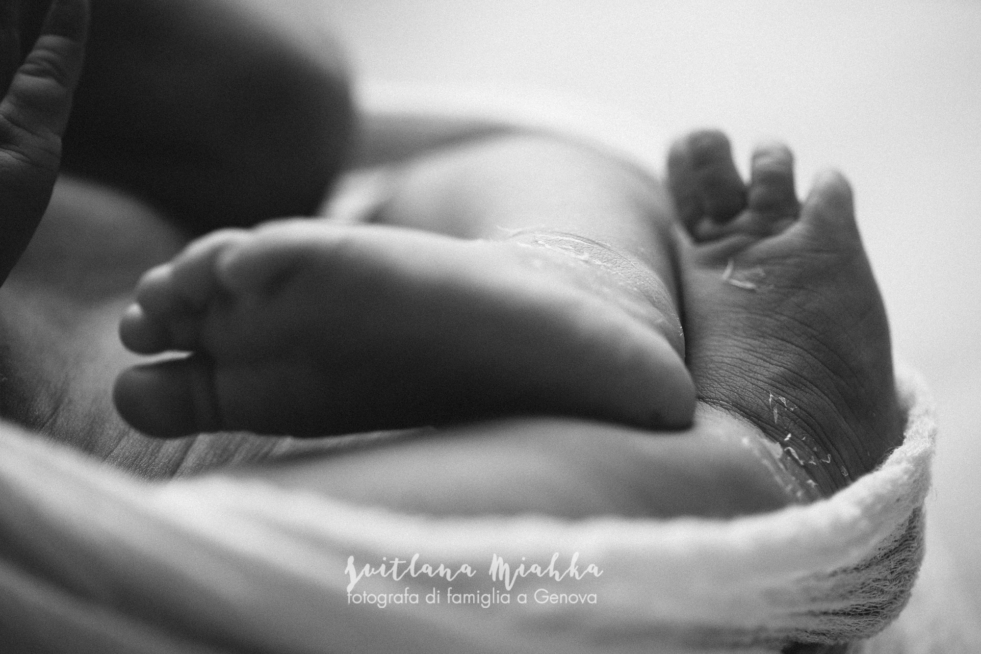 Newborn. Svitlana Miahka fotografa a Genova