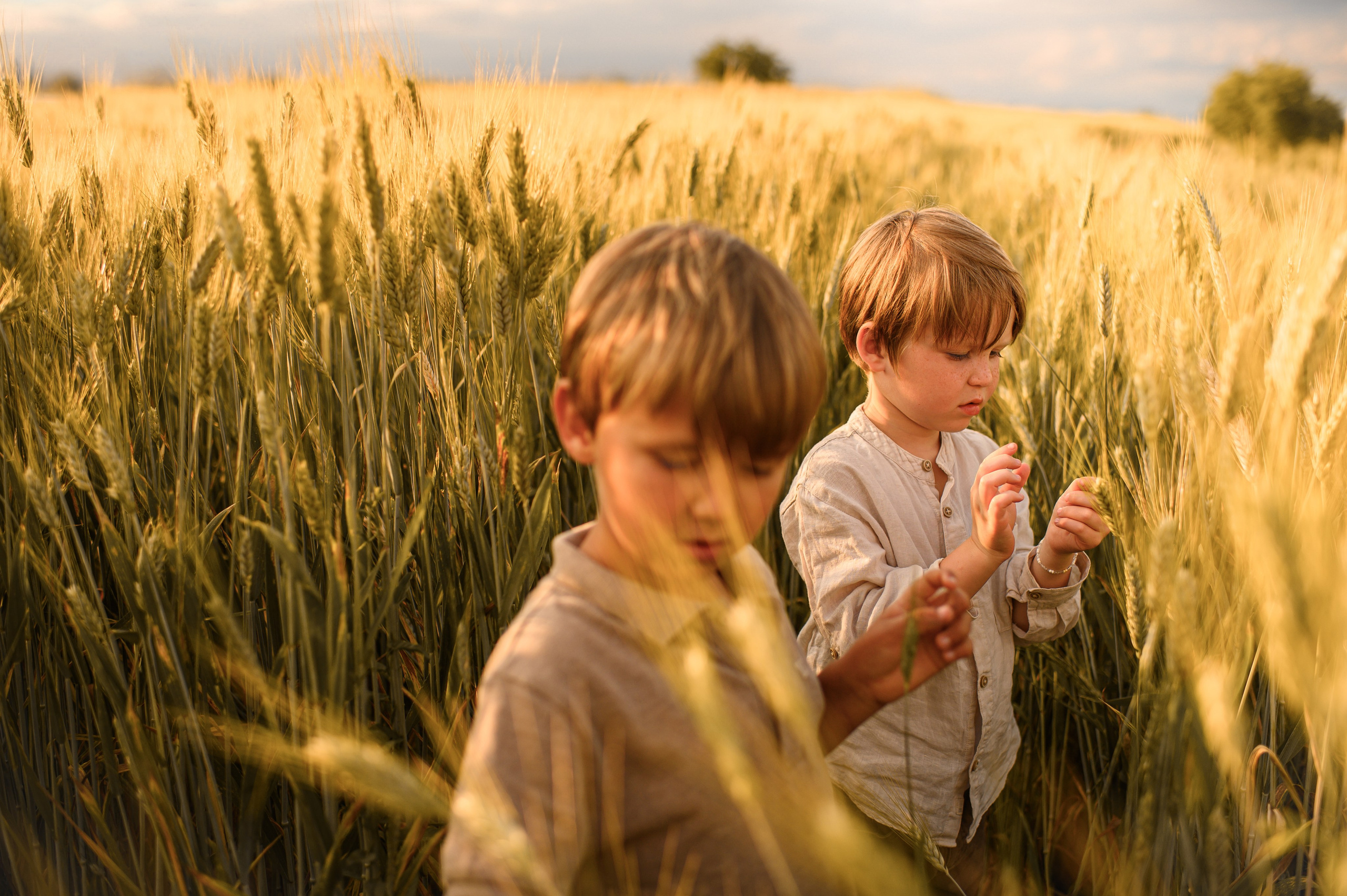 Wheat fields. Family, children, portrait, and event photography in Thessaloniki