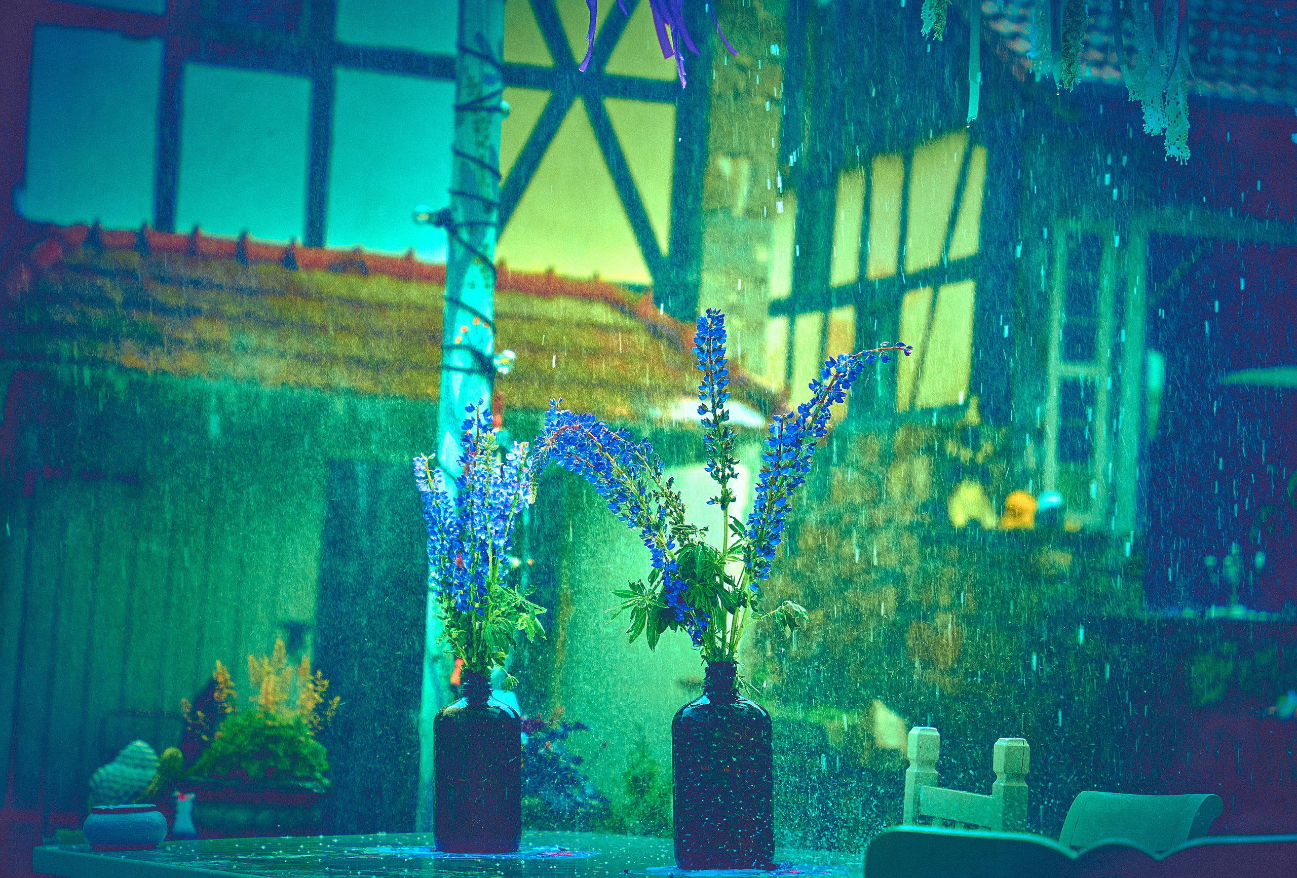 1st Birthday of Turquoise Island (Turkusowa Wyspa). Andriej Szypilow — Photography & Videography