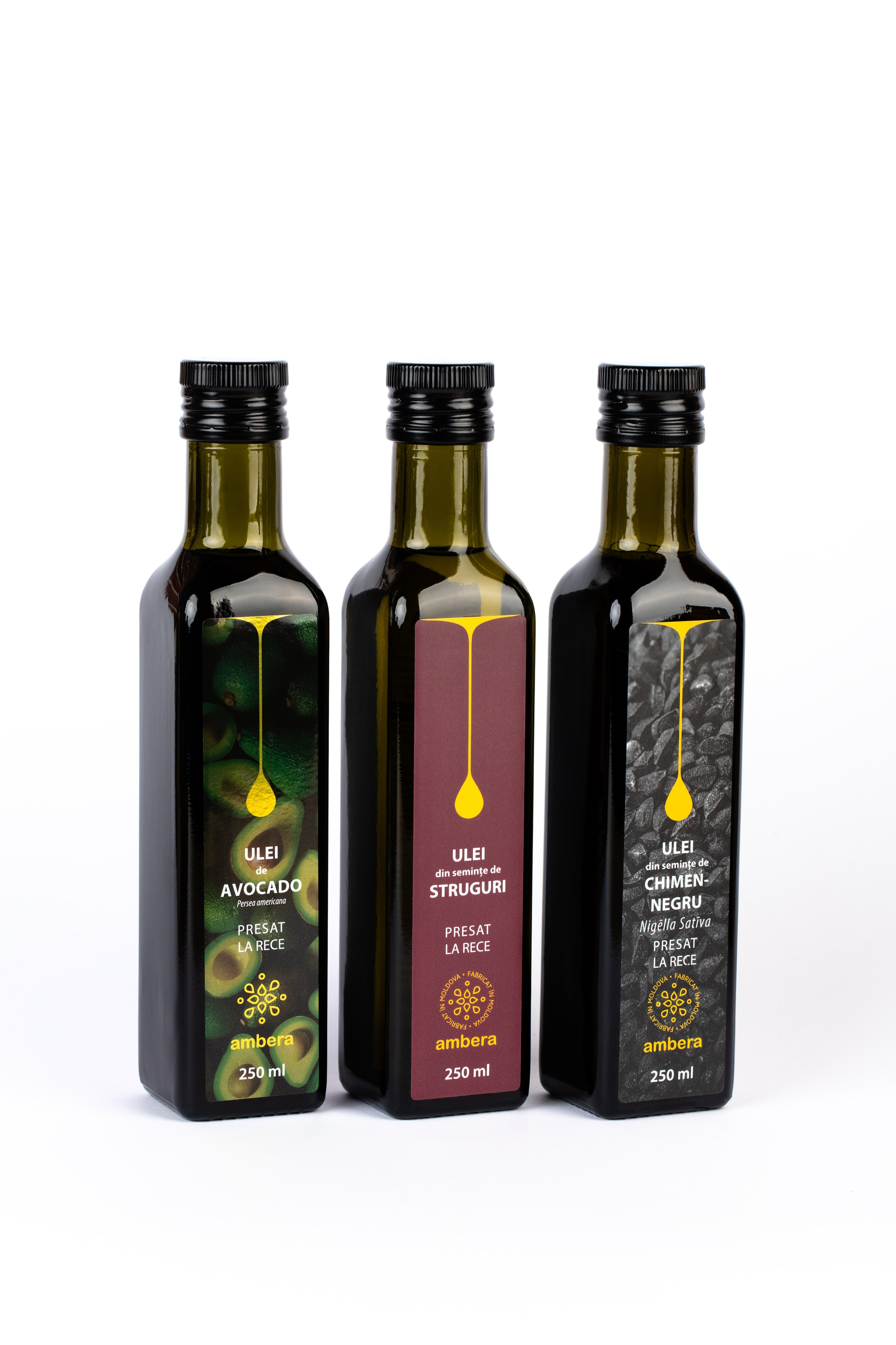 Catalog. Fotograf și Videograf | Chișinău, Moldova