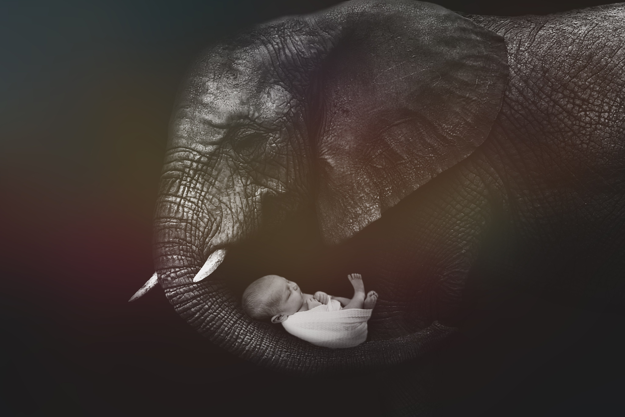 Lea. Maternity Newborn and Family photographer Hamburg Claire Hambley