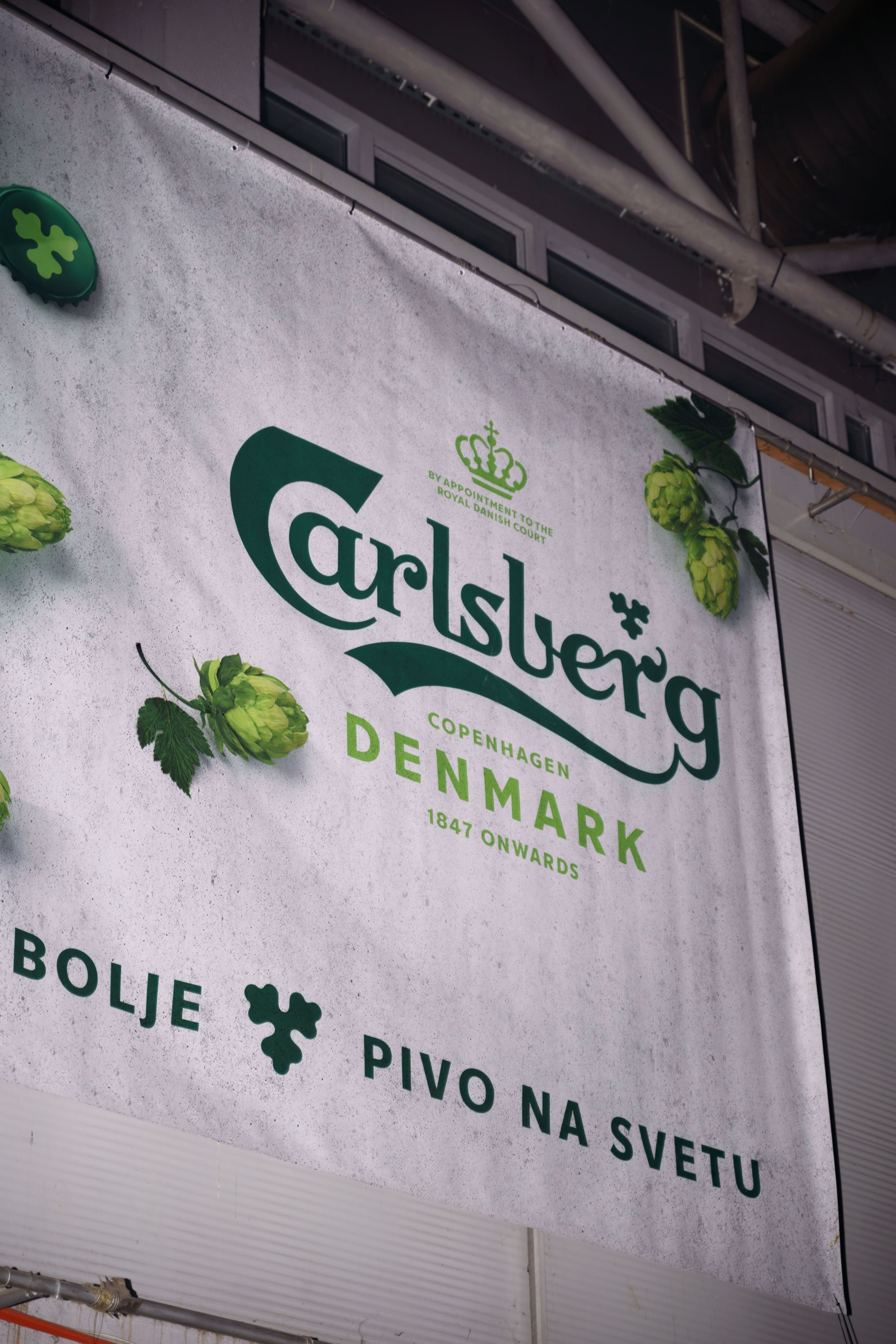 Dani piva u Novom Sadu 2024. Жуков Студио