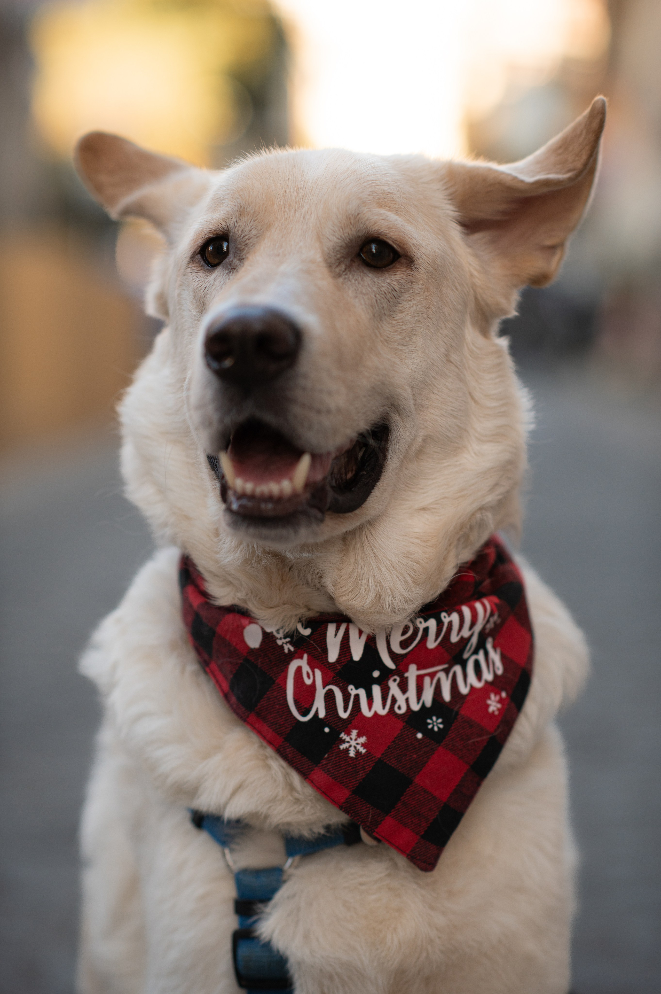 Around Old city. Family, children, portrait, and event photography in Thessaloniki