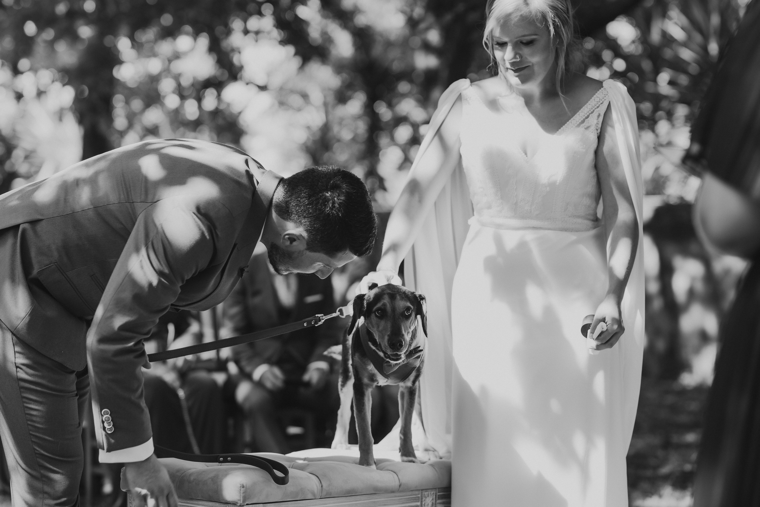 São & Luís. Photographe de mariage et de famille à Braga — Alexandra Mieres Photography