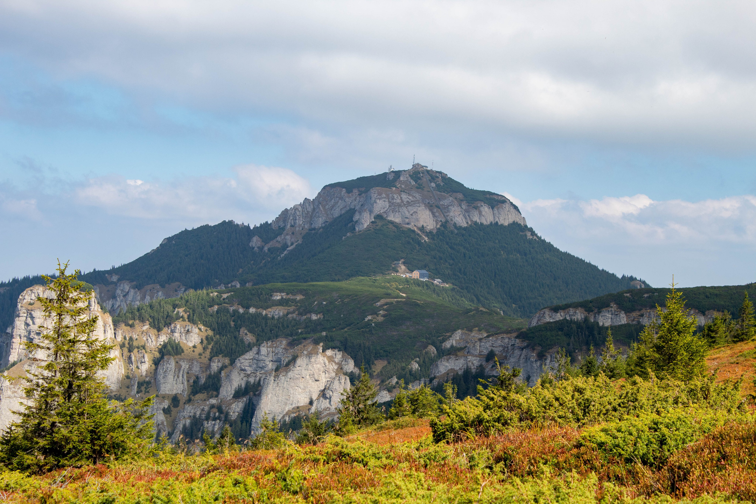 Mountain ridge landscape with pine trees and distant peaks under a soft cloudy sky.