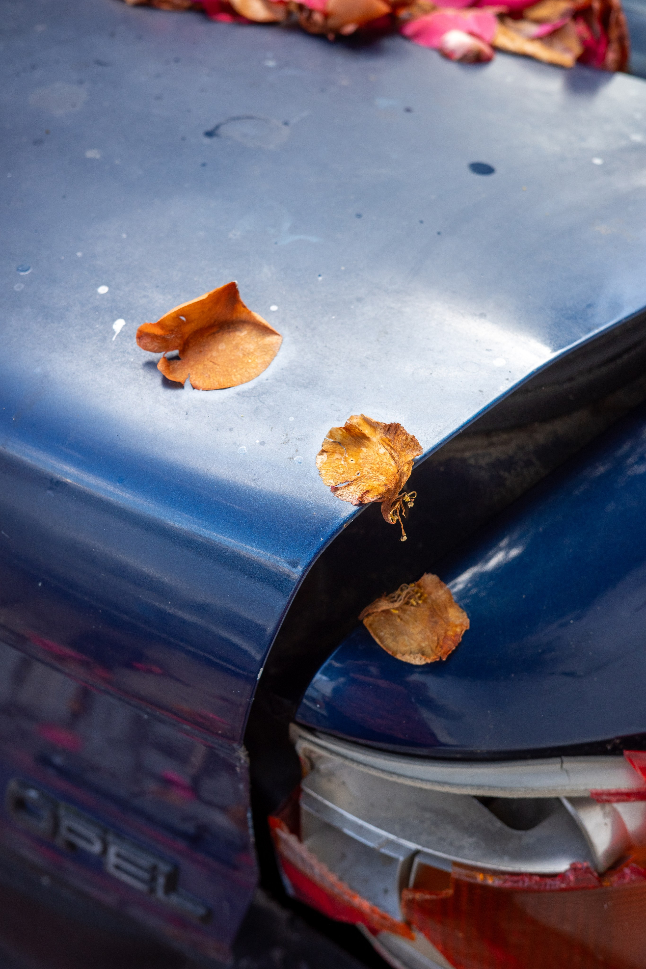 Street. Maria Sher. Professional photographer from Porto, Portugal