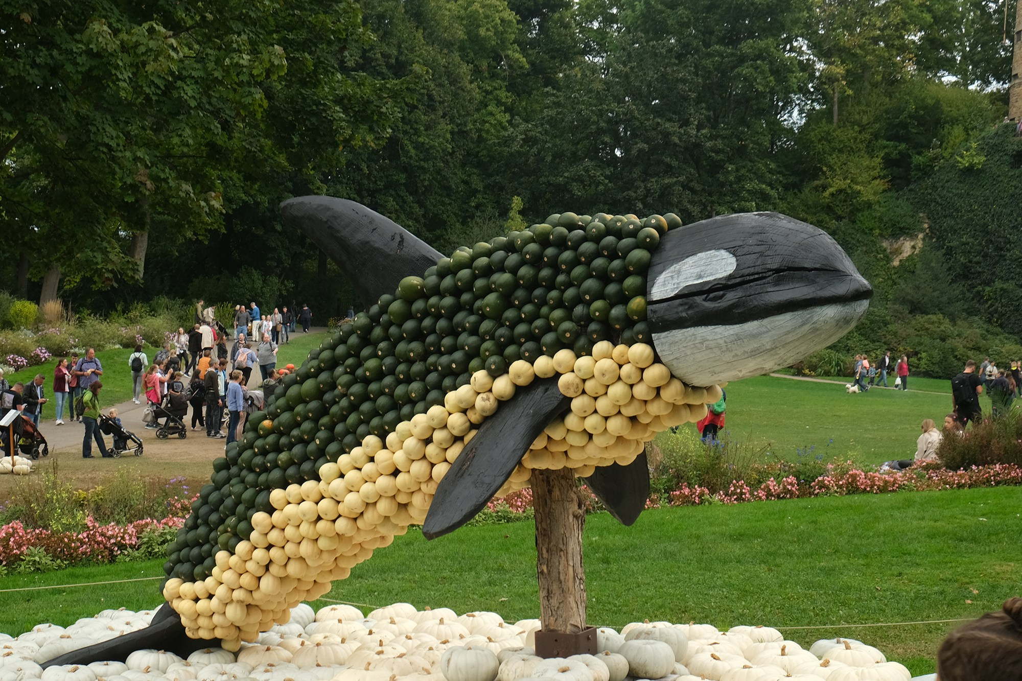 Фестиваль тыквы. Elina Reisen. Туристическое агентство в Аугсбурге