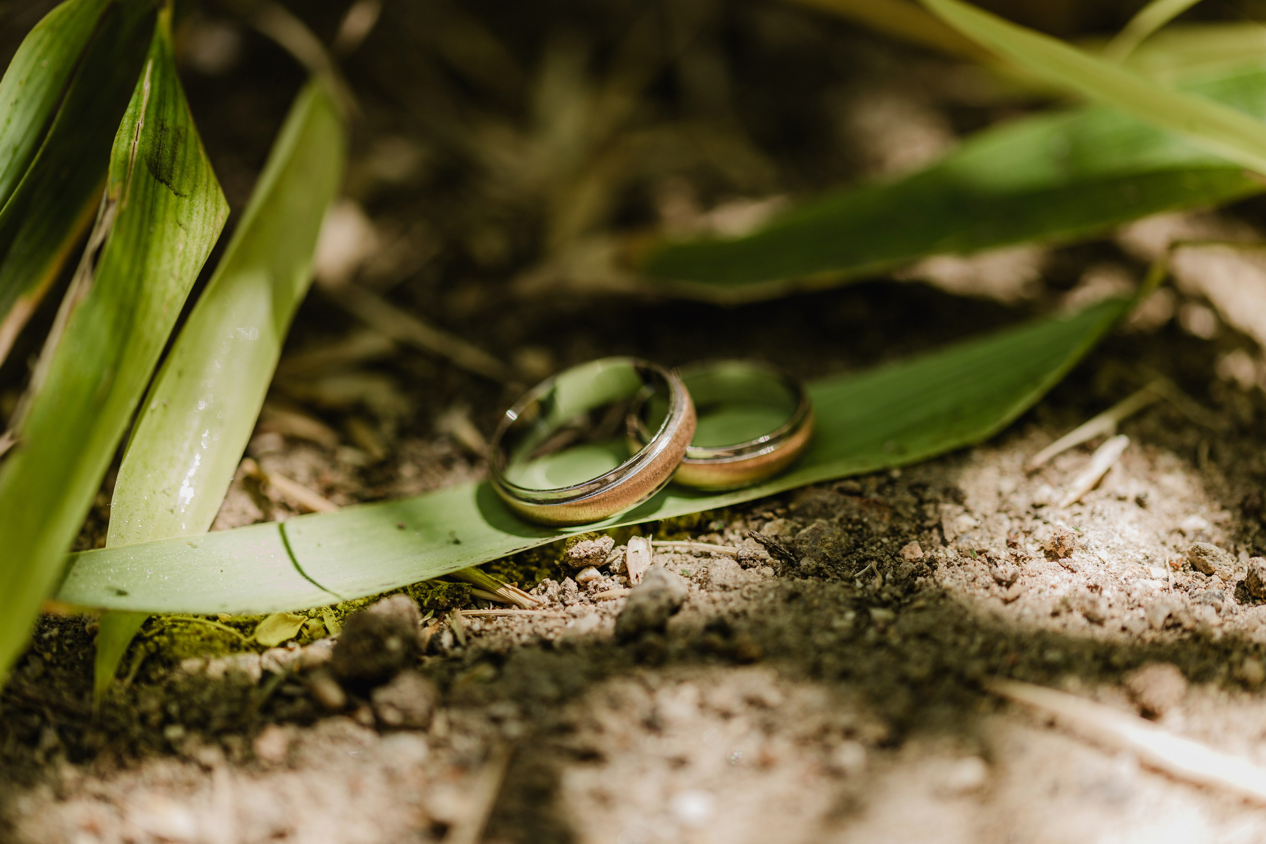 Fotografía de Bodas en Madrid - Rainbox: Capturamos Tu Amor con Pasión. Rainbox Estudio de Fotografía