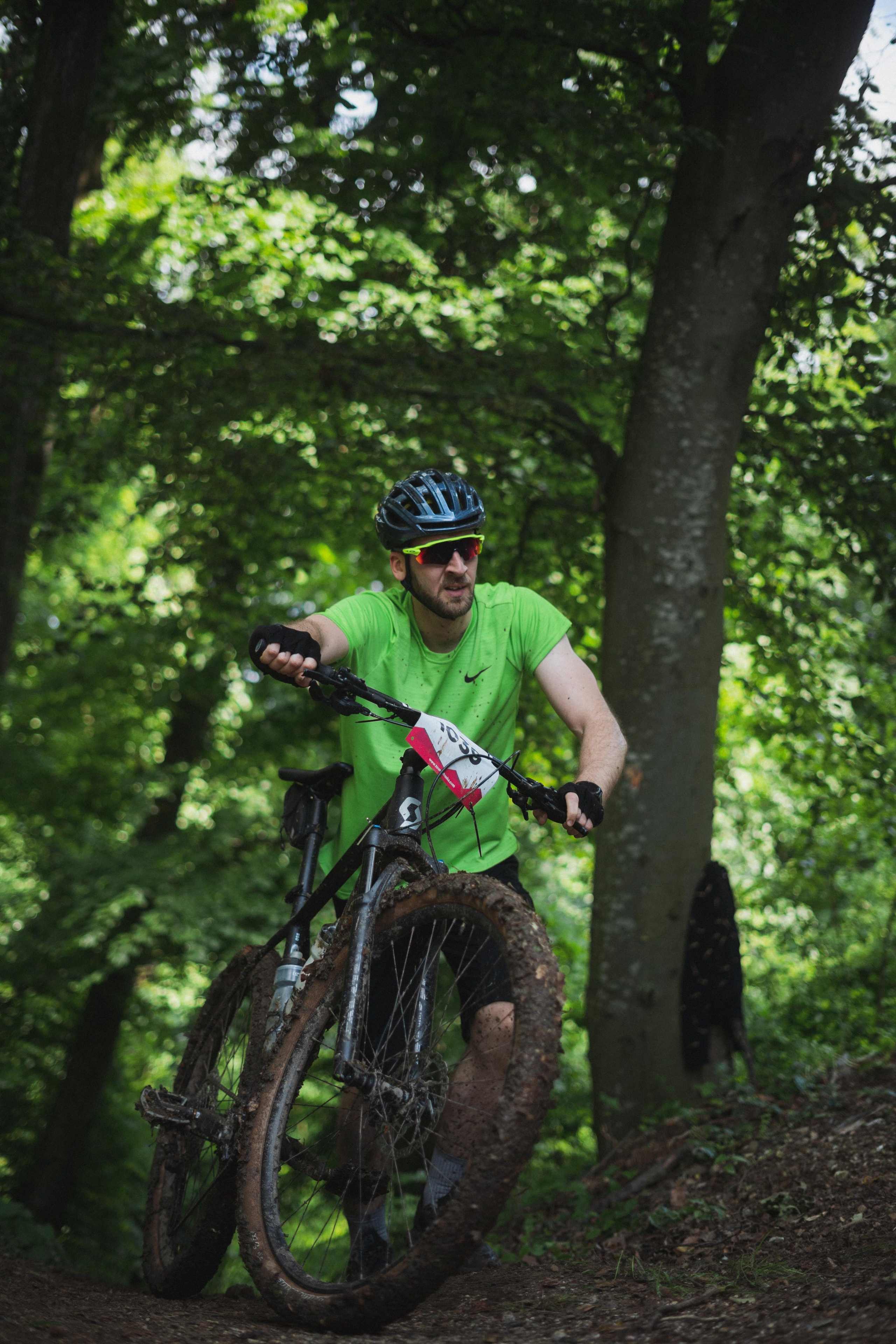 Tour de Fruska. Zhukov studio