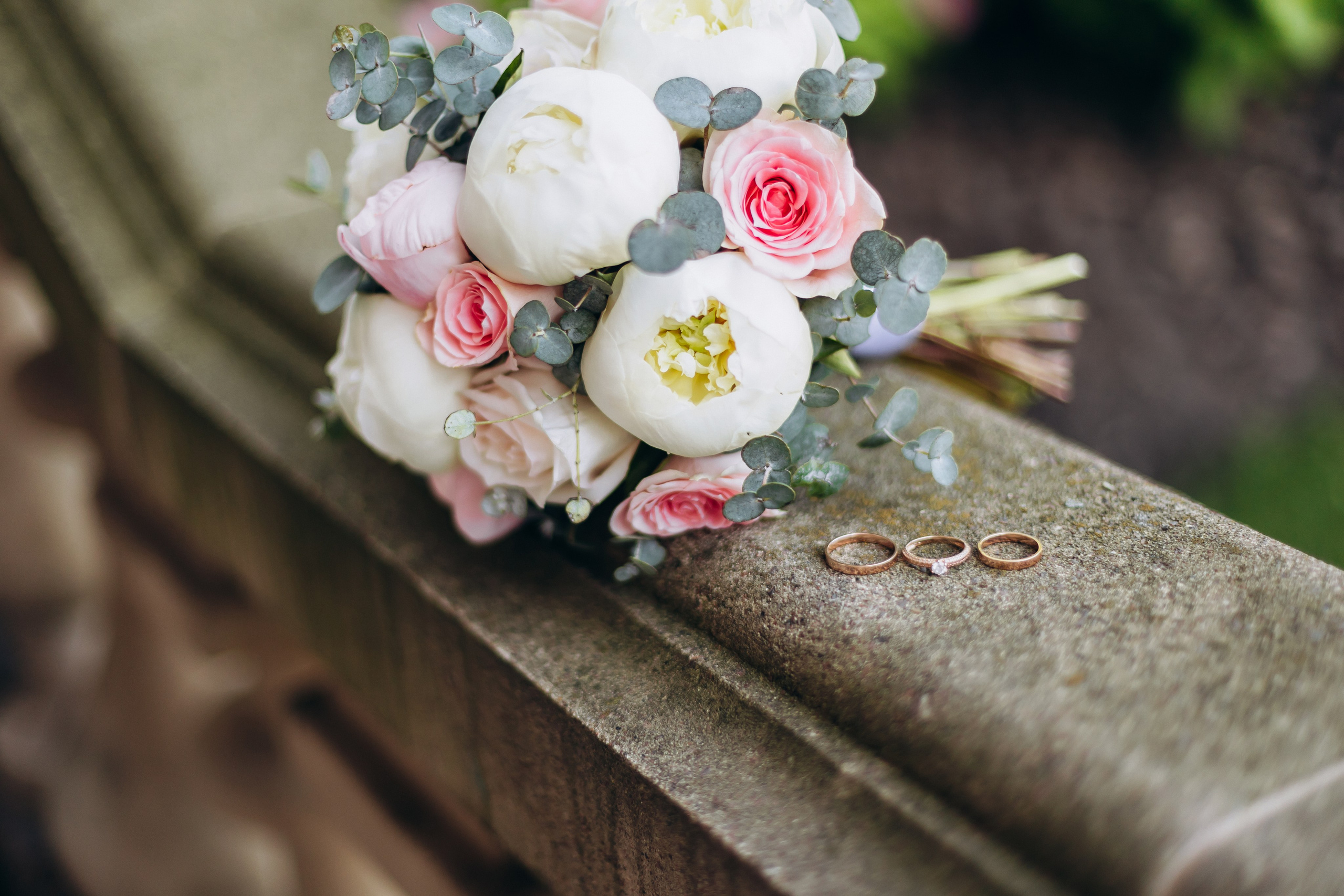 Max & Ira. Wedding and Family Photograph