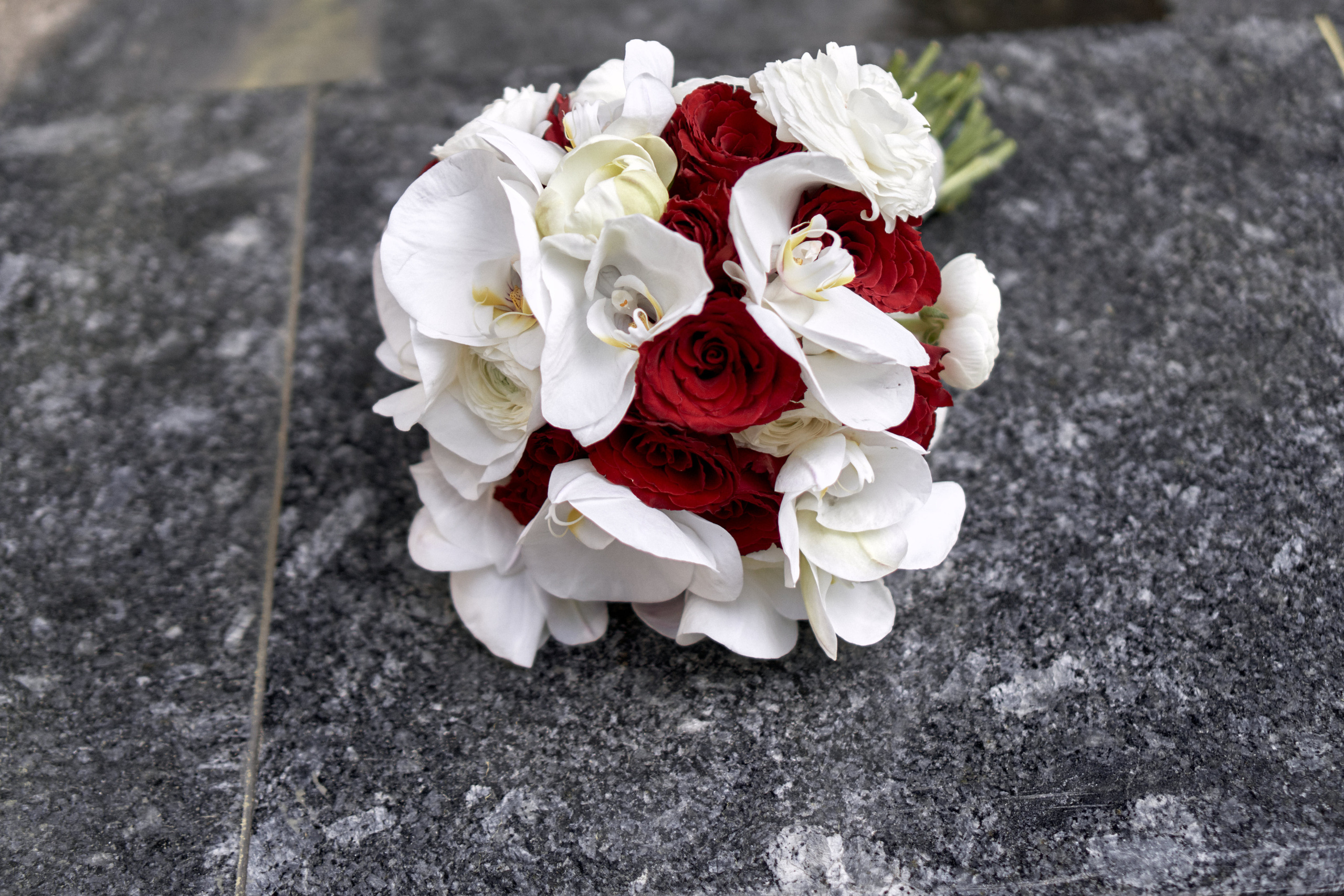 Ein wunderschönes Ehepaar in Frankfurt. Hochzeitsfotograf für Moers, Niederrhein, Düsseldorf, NRW und Deutschland