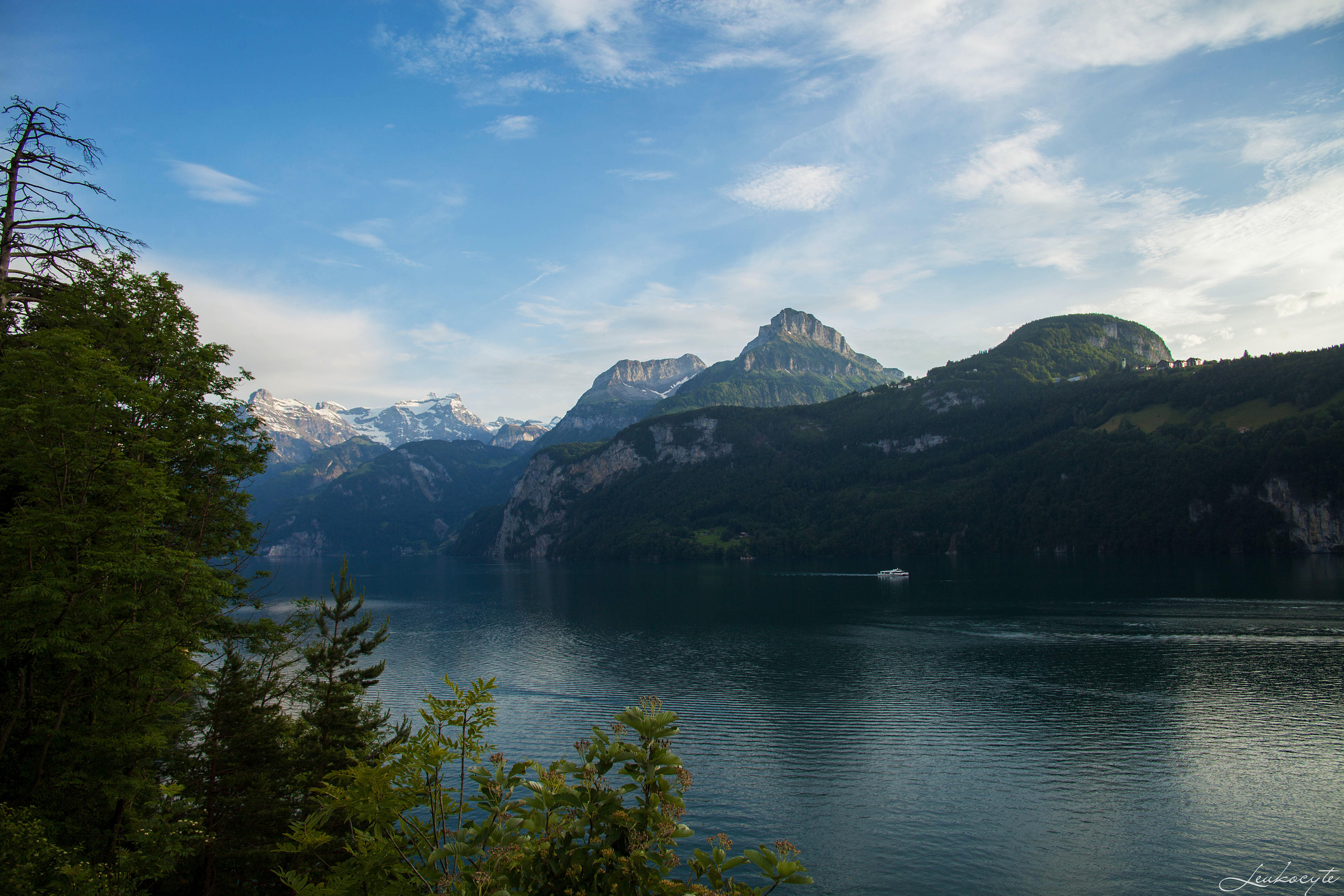 Landscapes. Wedding photographer Lyubov Sun Reutlingen