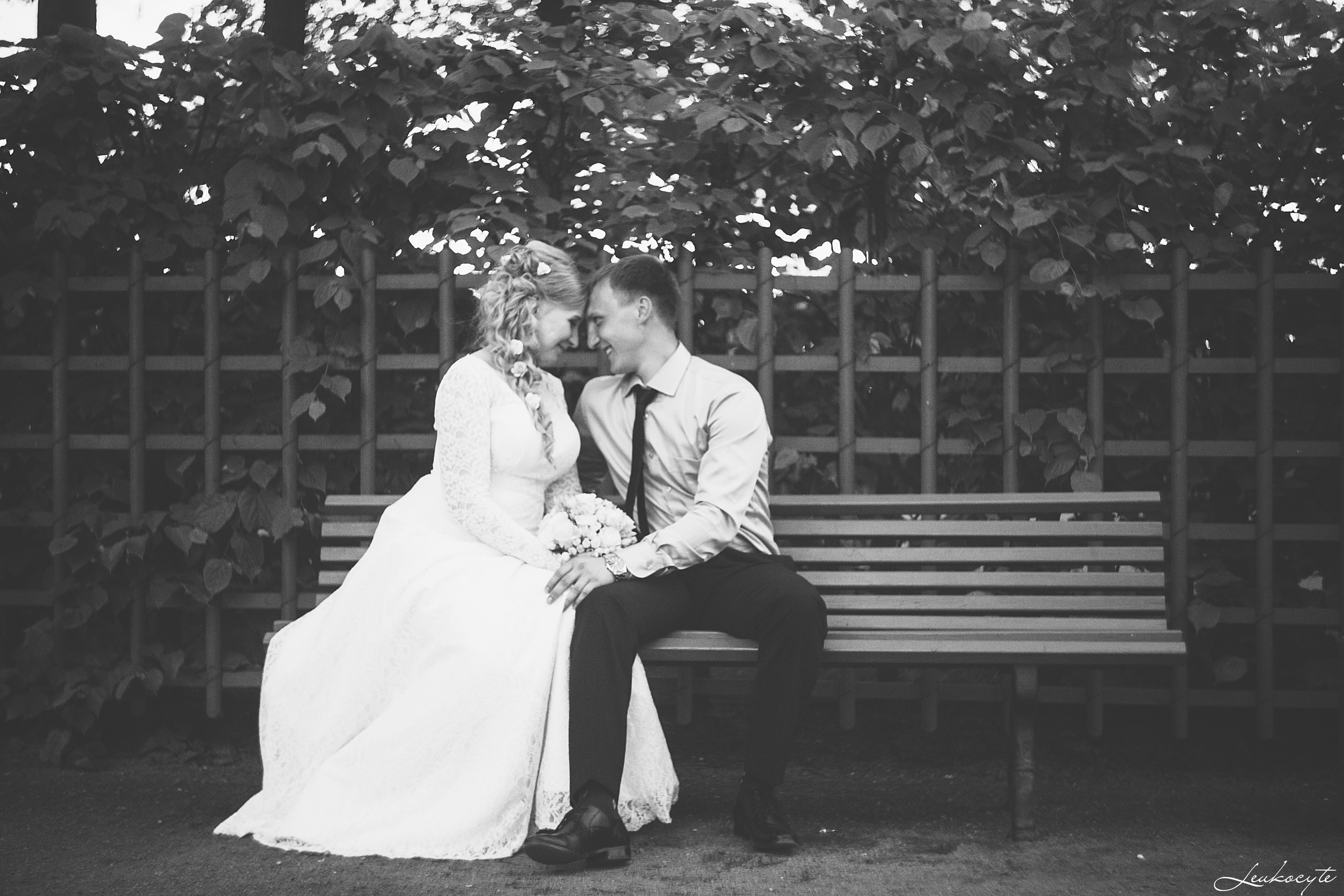 Hochzeit. Hochzeit Fotograf Lyubov Sun