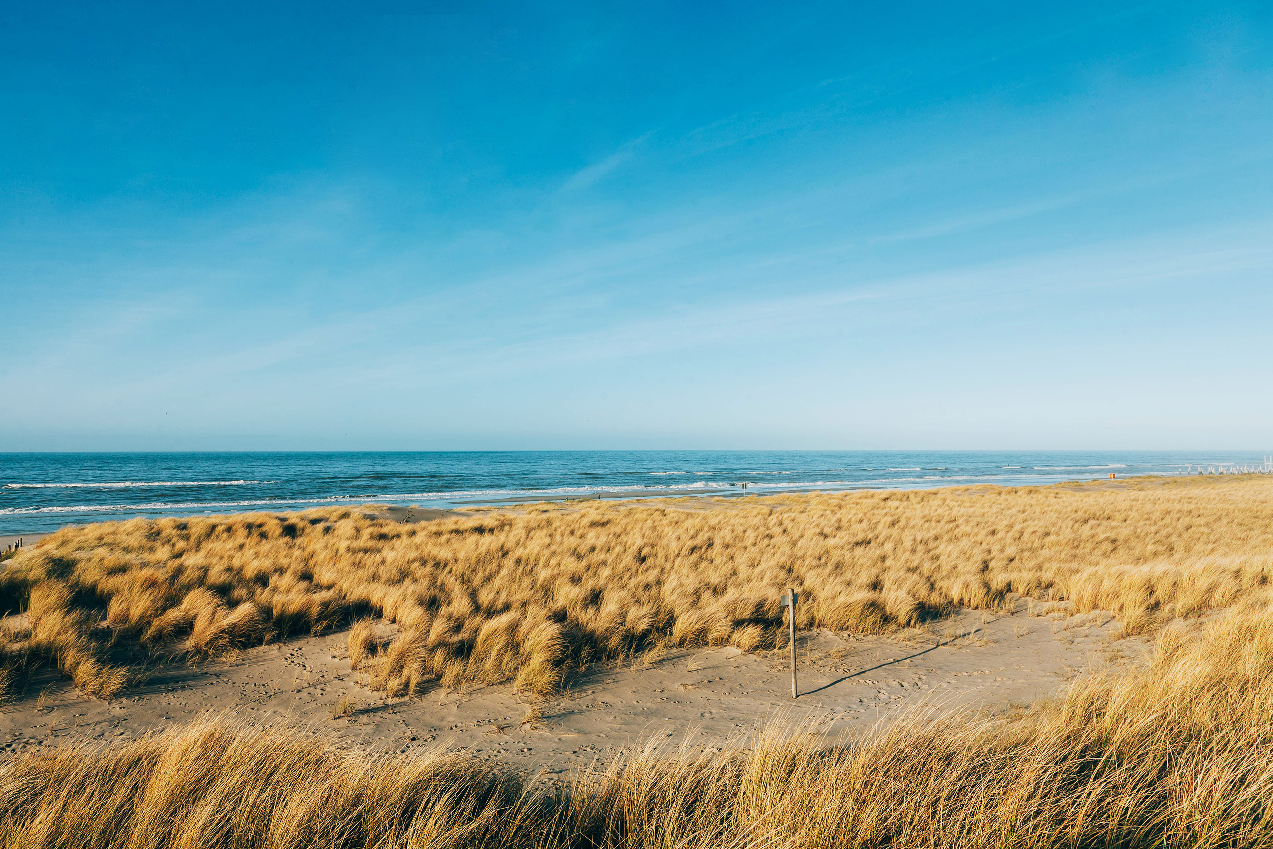 Landscapes. Wedding photographer Lyubov Sun Reutlingen