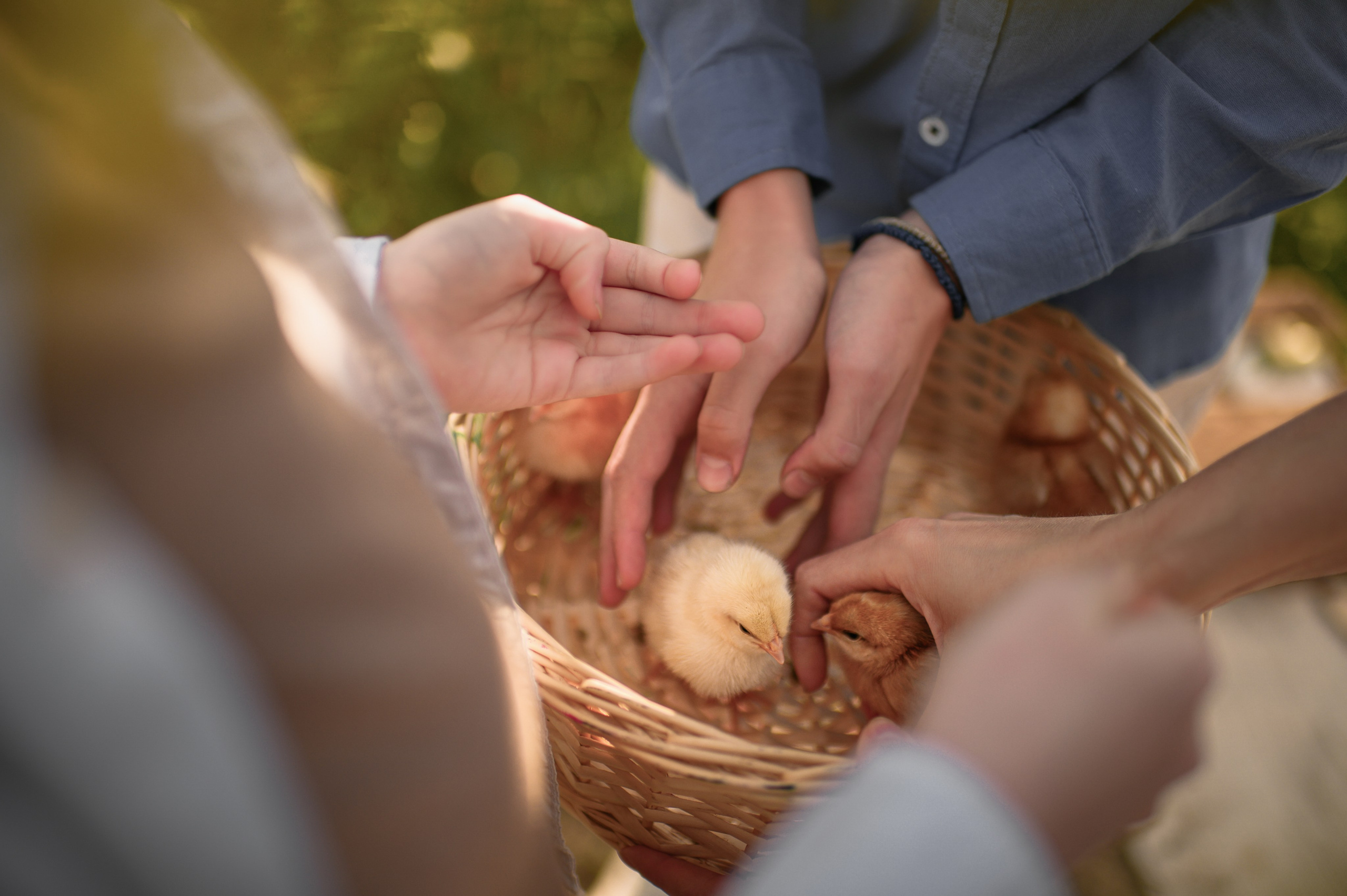 Easter. Семейная, детская, портретная и предметная фотосъемка в Салониках