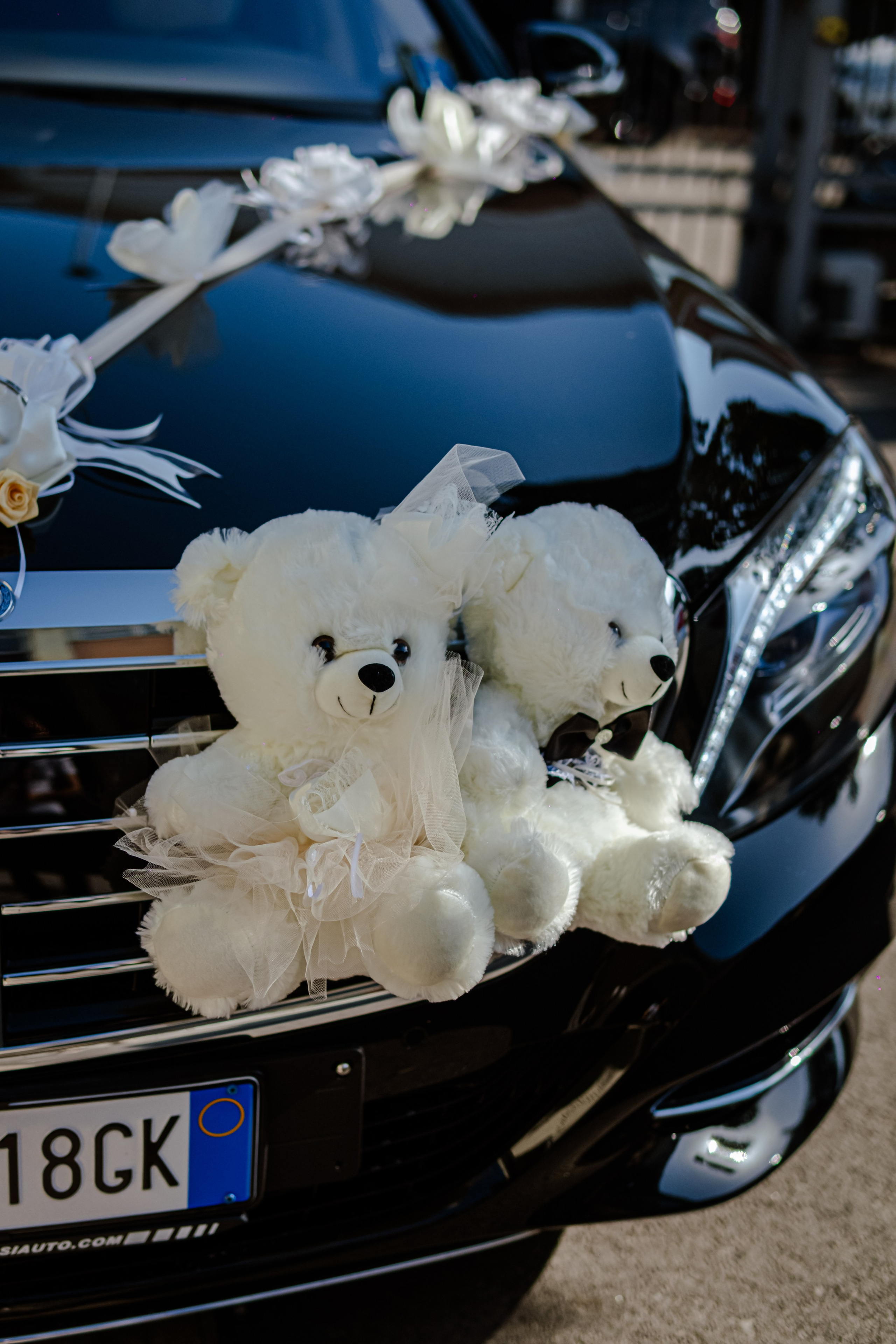 G&M. Grosu Photography