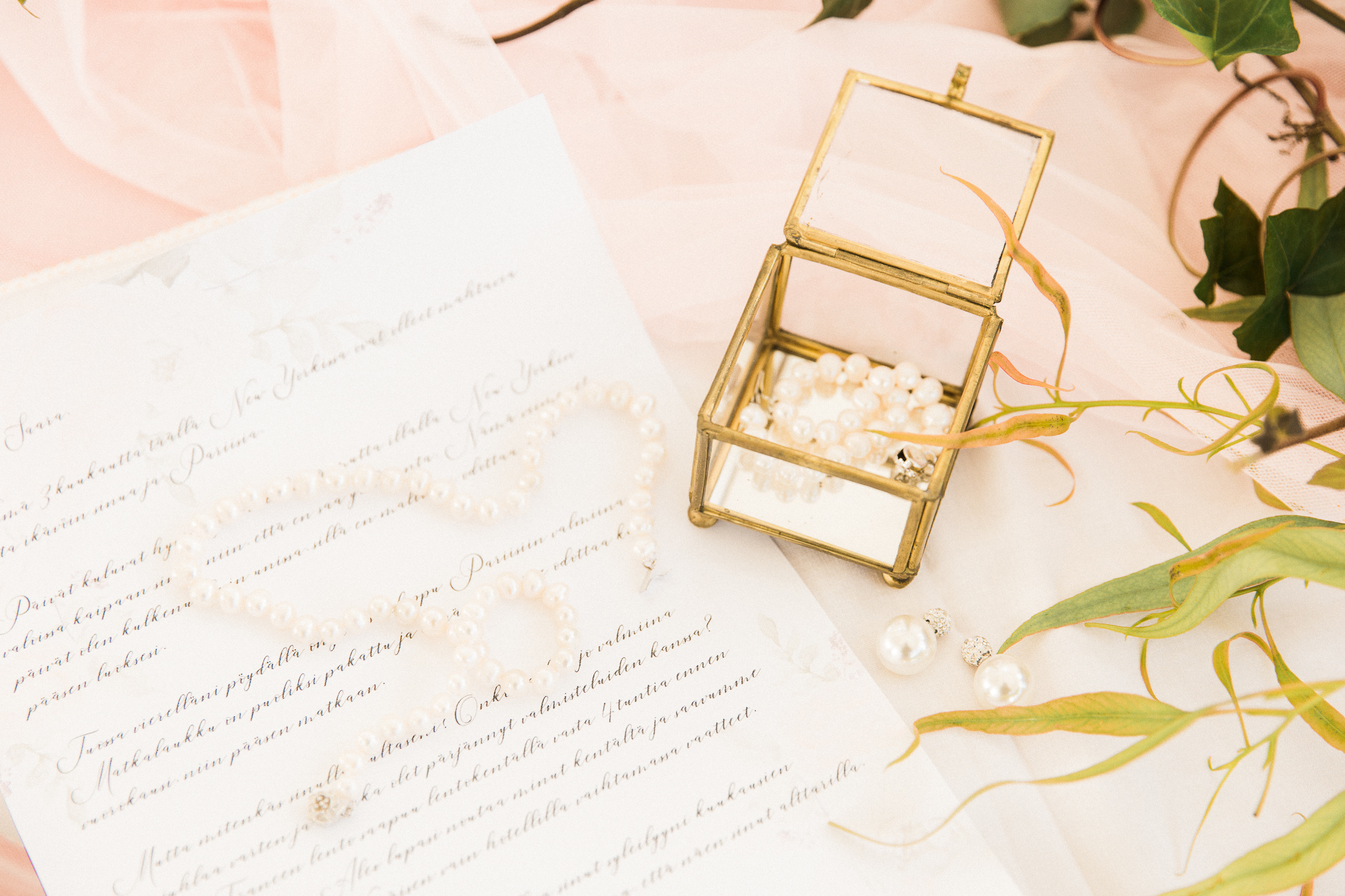 Crocus paperi - tuotekuvat