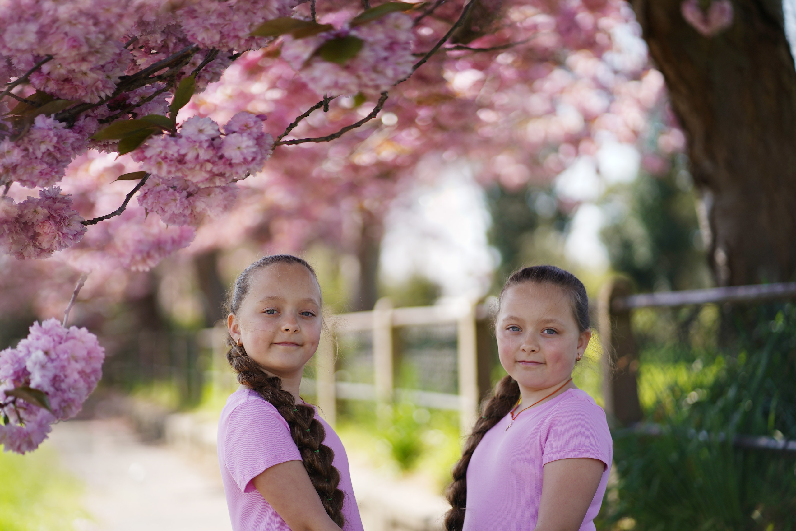 Little sisters in pink blossom. Jelena Upleja children and family photographer in Bognor Regis