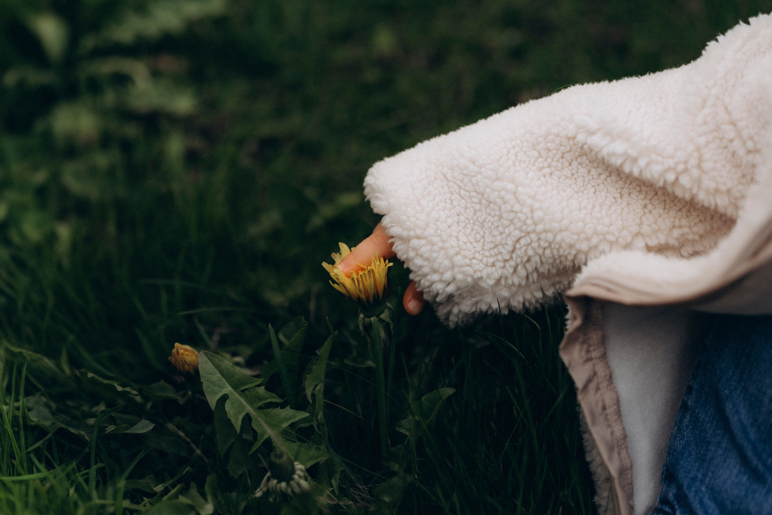 Kirill, Inga & Lea in spring bloom. Фотографы Минск и мир