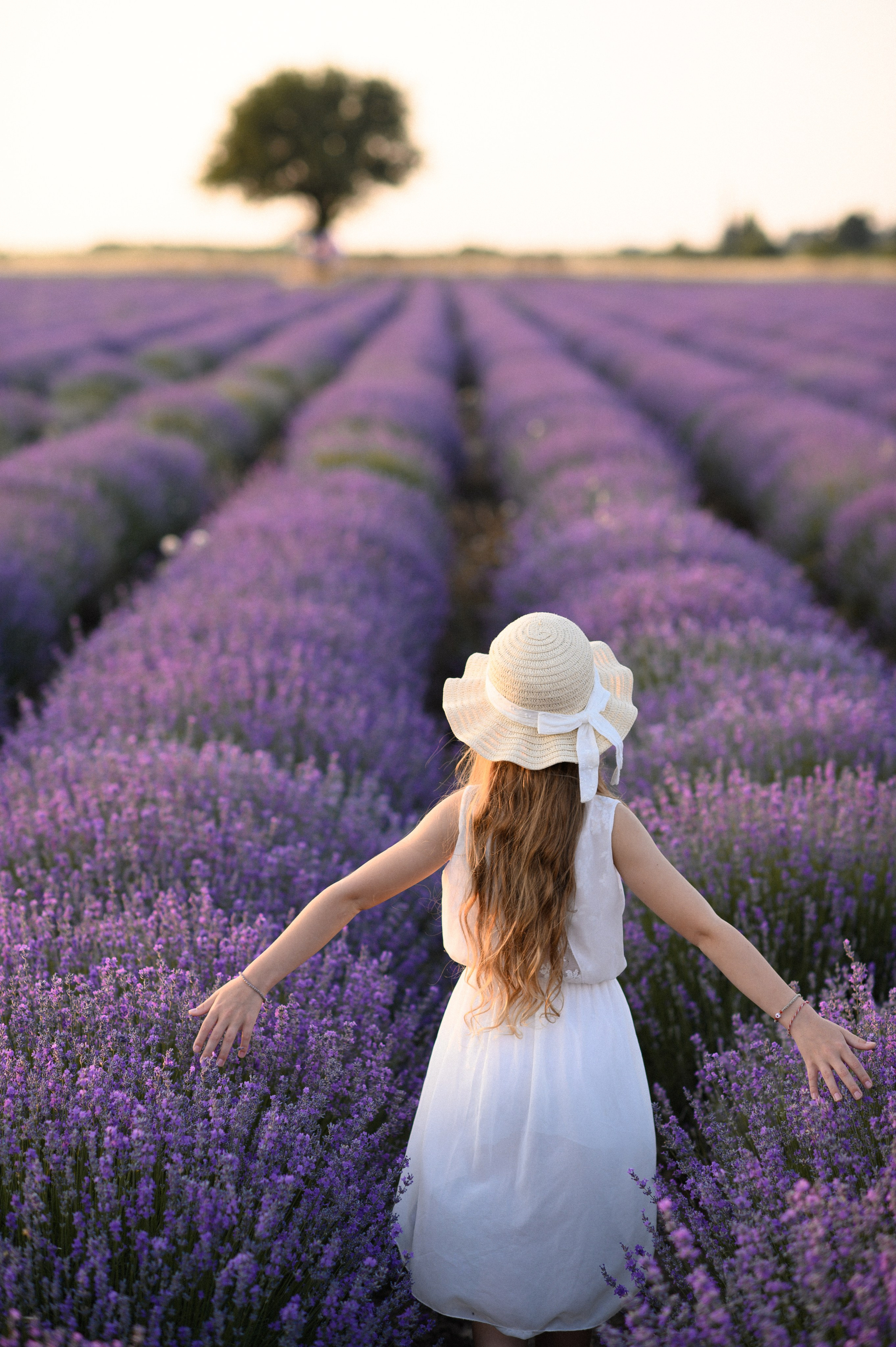 Lavender Field. Семейная, детская, портретная и предметная фотосъемка в Салониках