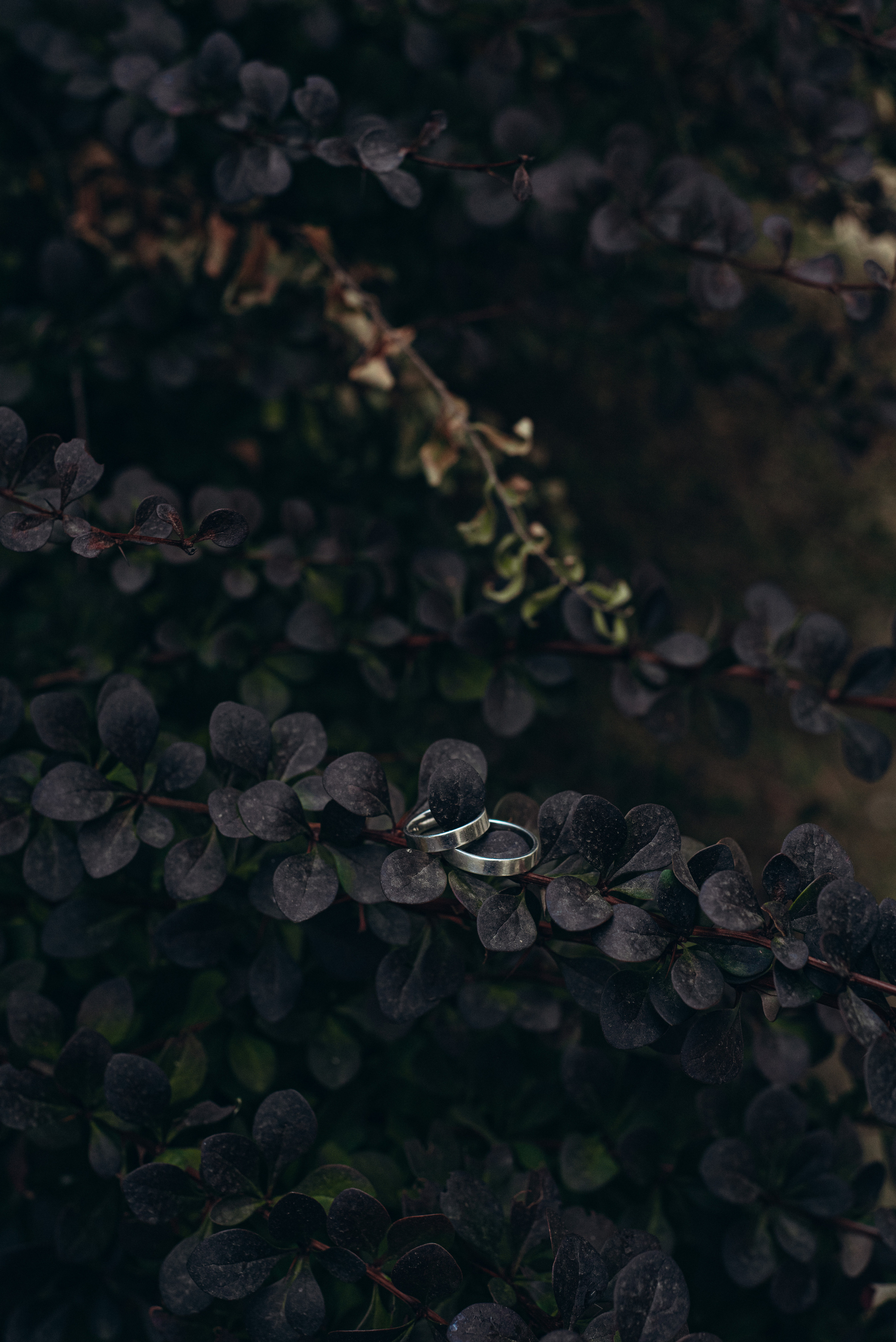 Vanya & Valya wedding day. Фотографы Минск и мир