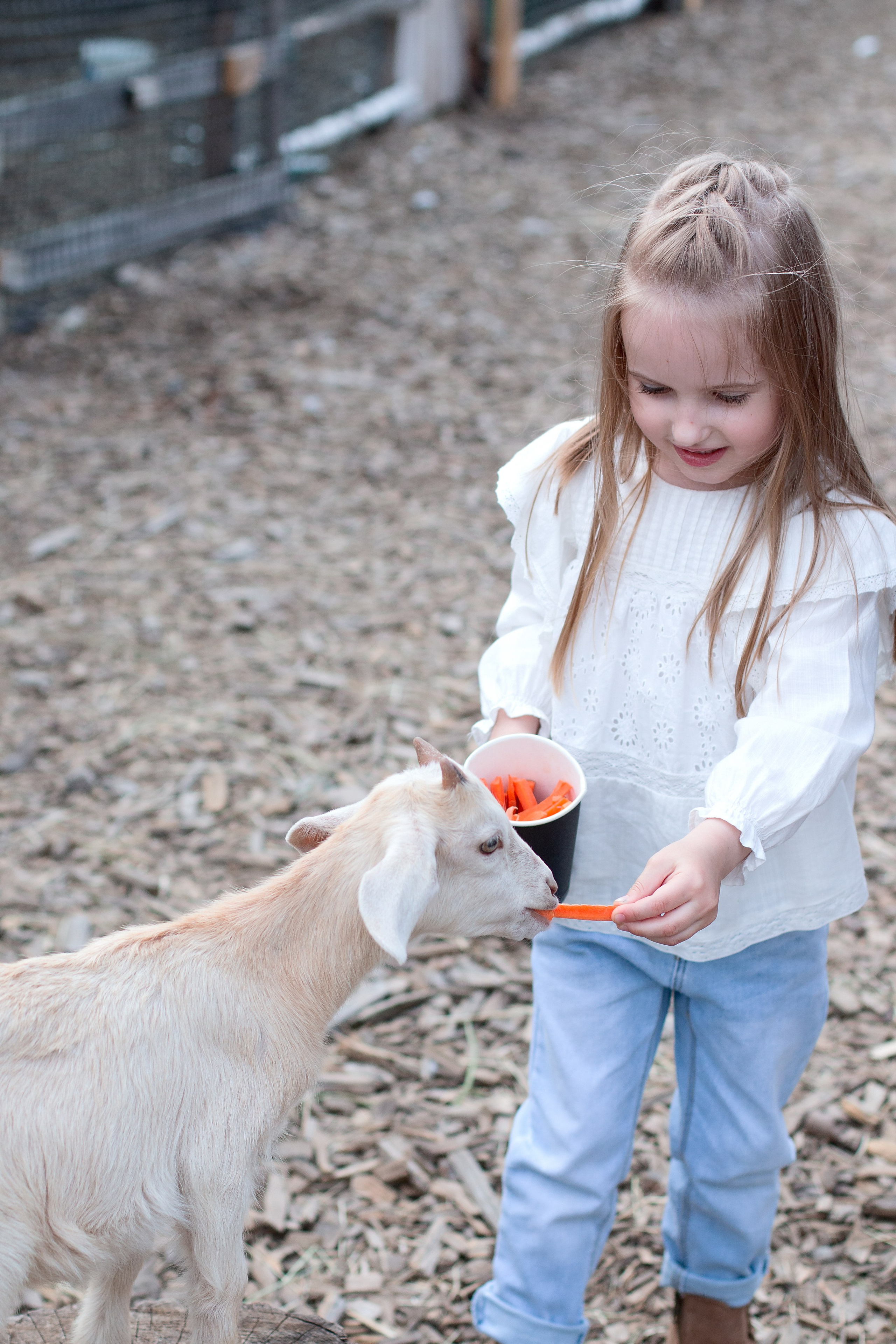 Конюшня. Детский и семейный фотограф в г. Бельцы