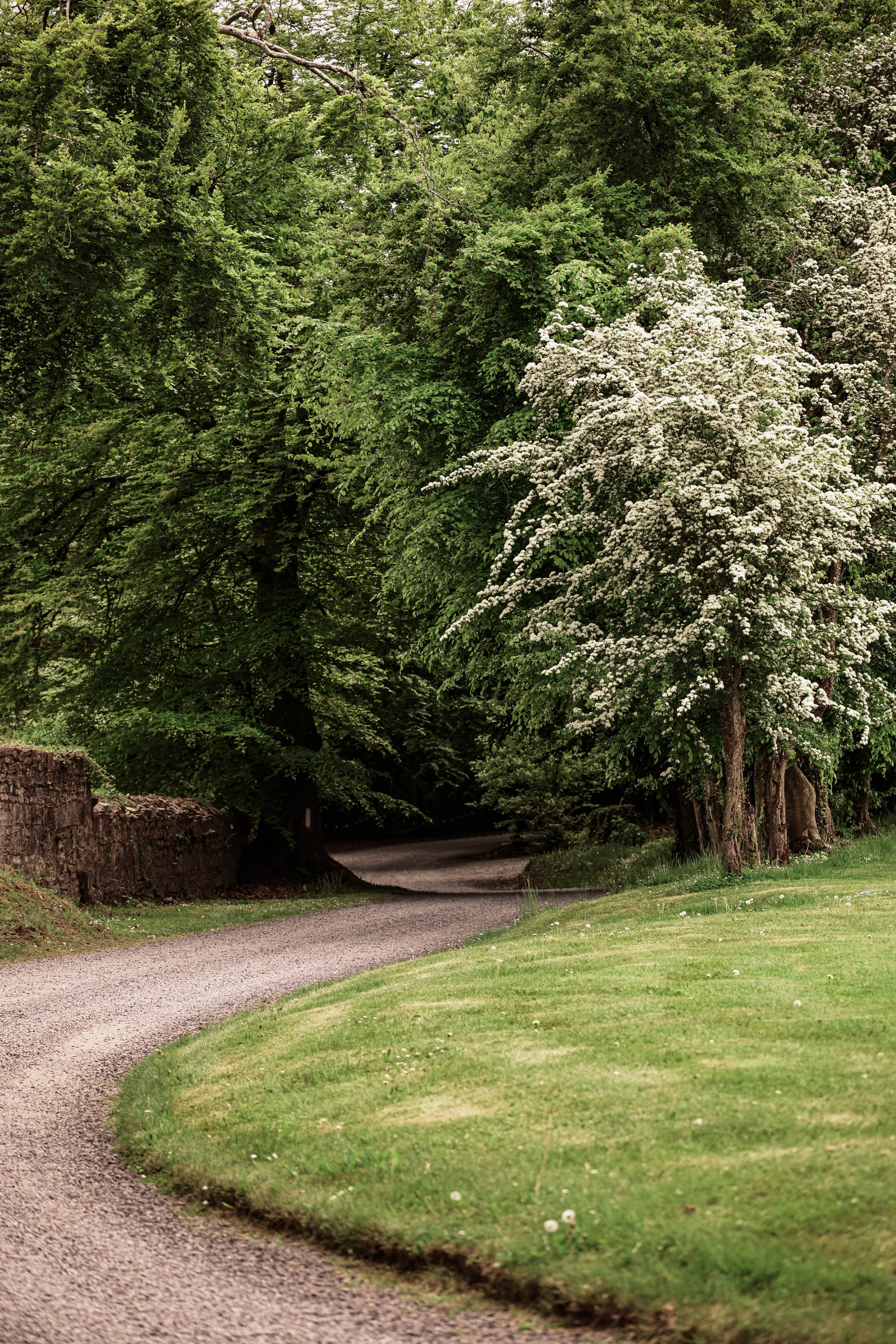 B&P. Photographer Co Dublin, Balbriggan — Agata Maliseva