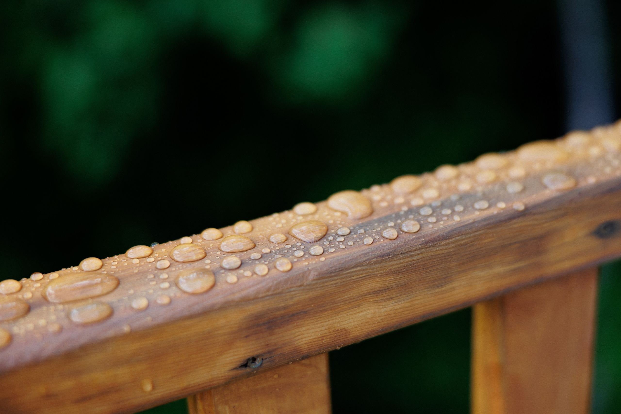 Florin & Corina — Complexul Turistic Costesti — Wedding Day. Servicii Foto și Video 067188353