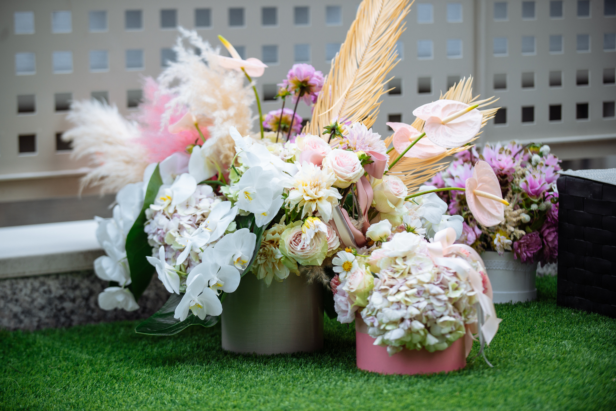 Andorra. Fotógrafa Ekaterina Gasanova - sesiones de fotos en Barcelona