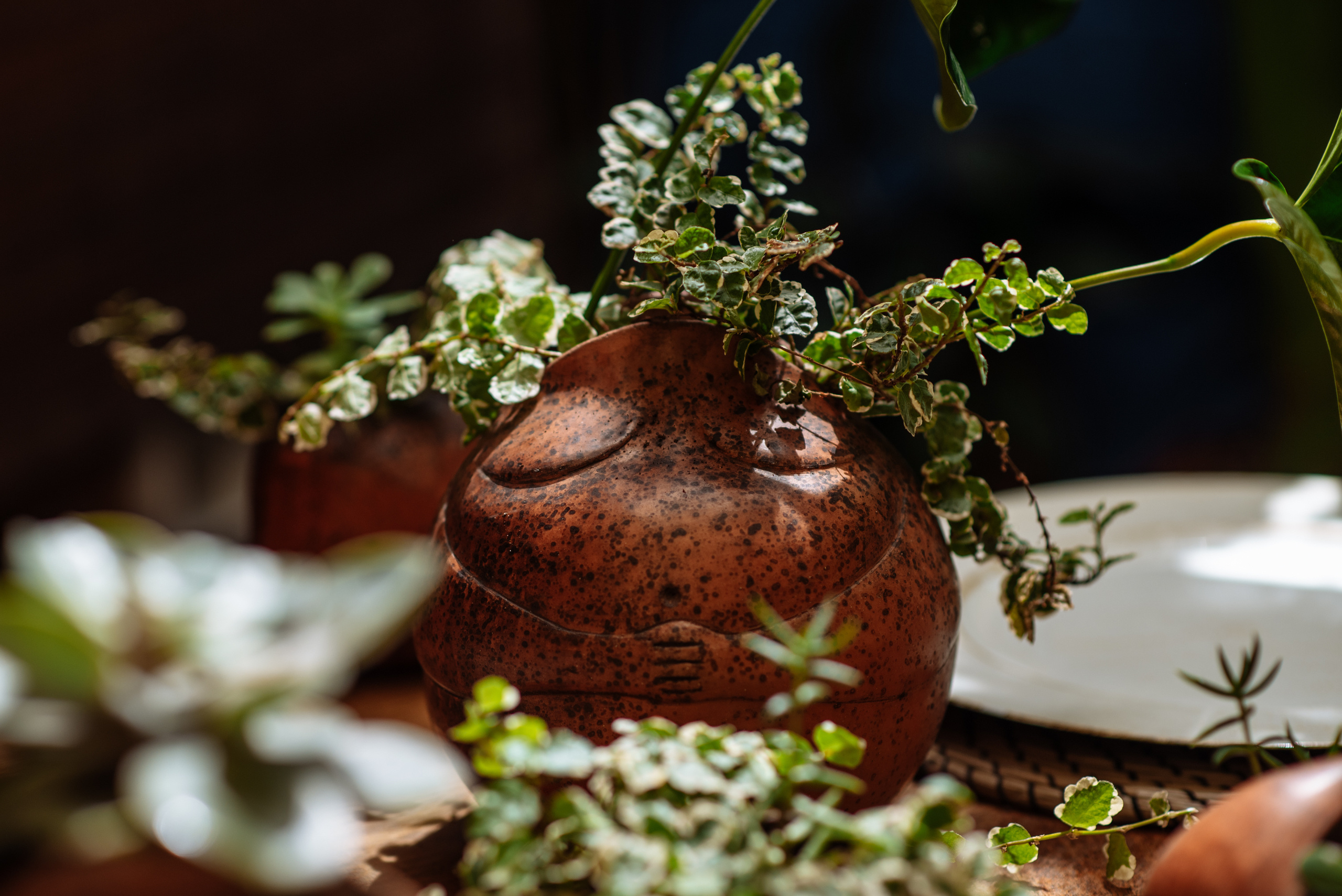 Floratelie. Professional photography services in Barcelona by Ekaterina Gasanova