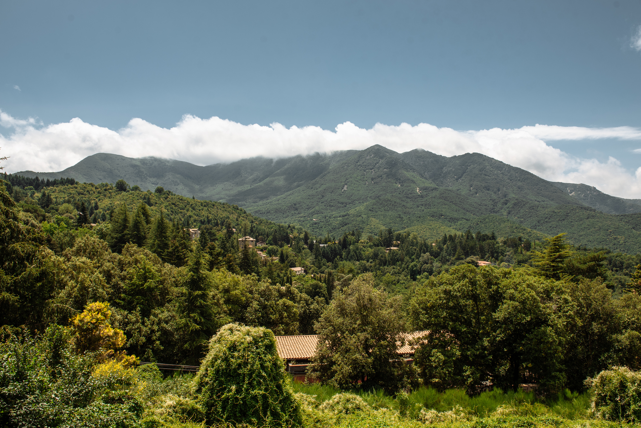 Ksenia Chalaya. Fotógrafa Ekaterina Gasanova - sesiones de fotos en Barcelona