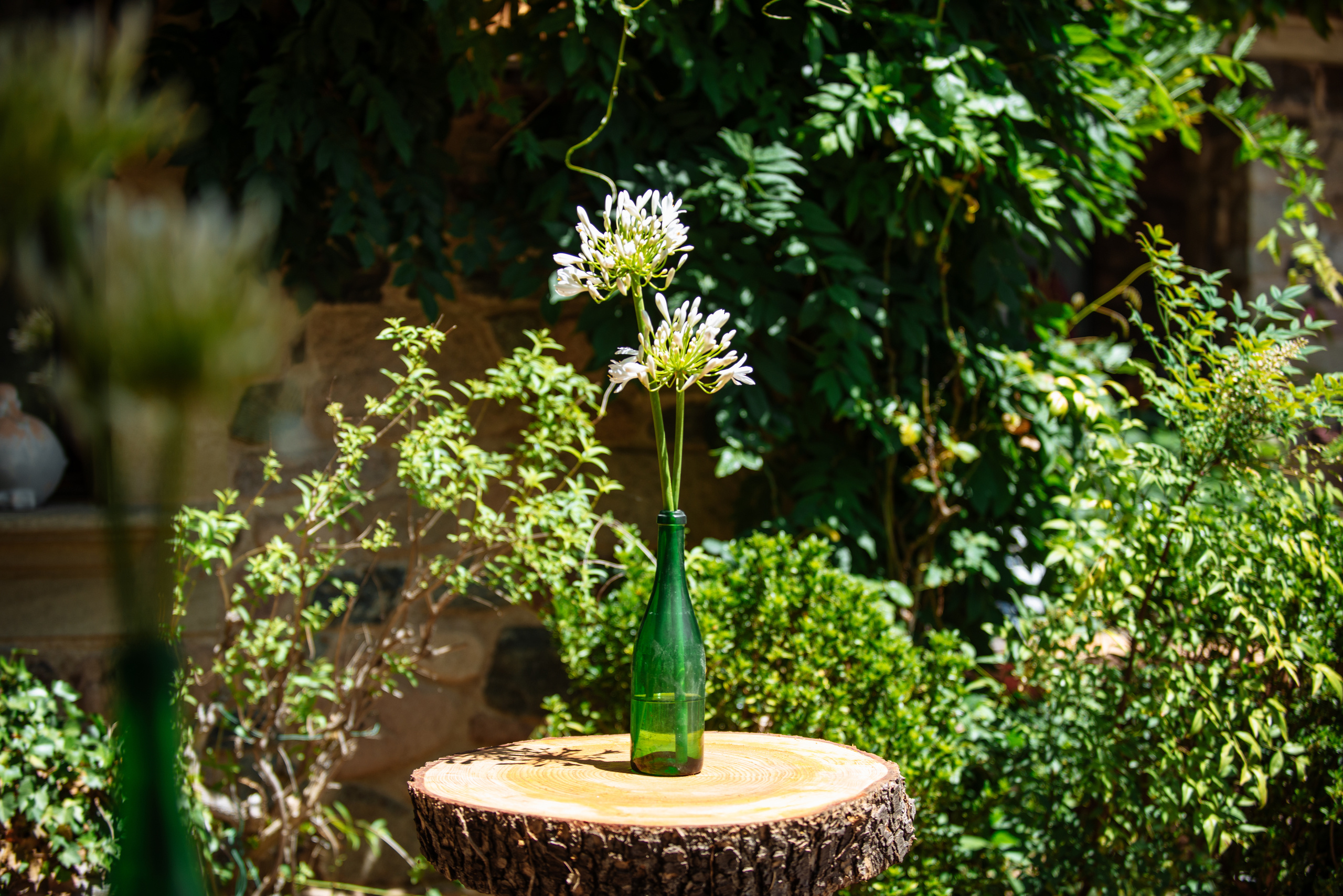 Ksenia Chalaya. Fotógrafa Ekaterina Gasanova - sesiones de fotos en Barcelona