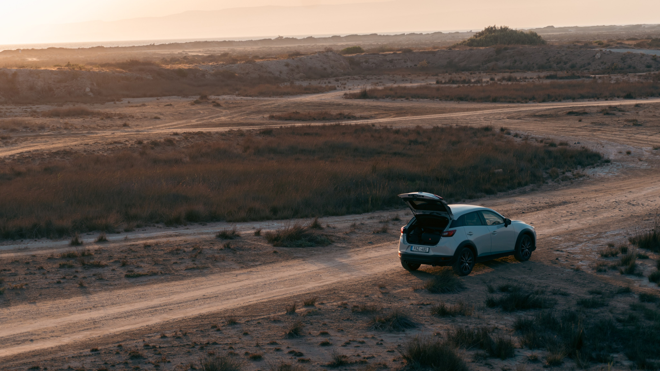 Pasha In The Desert Of Cyprus. Main