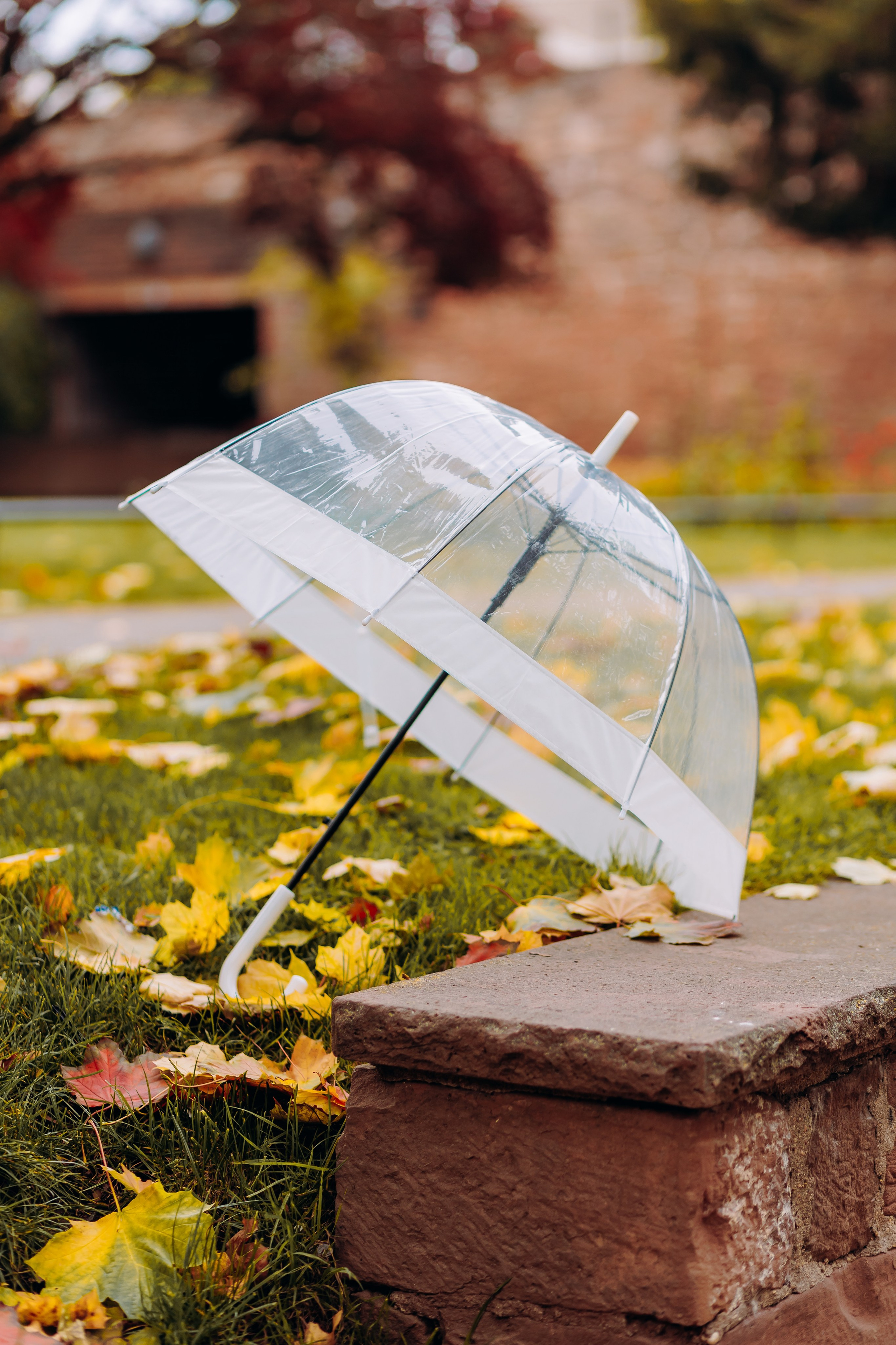 Ina & Andrey. Wedding and Family Photograph