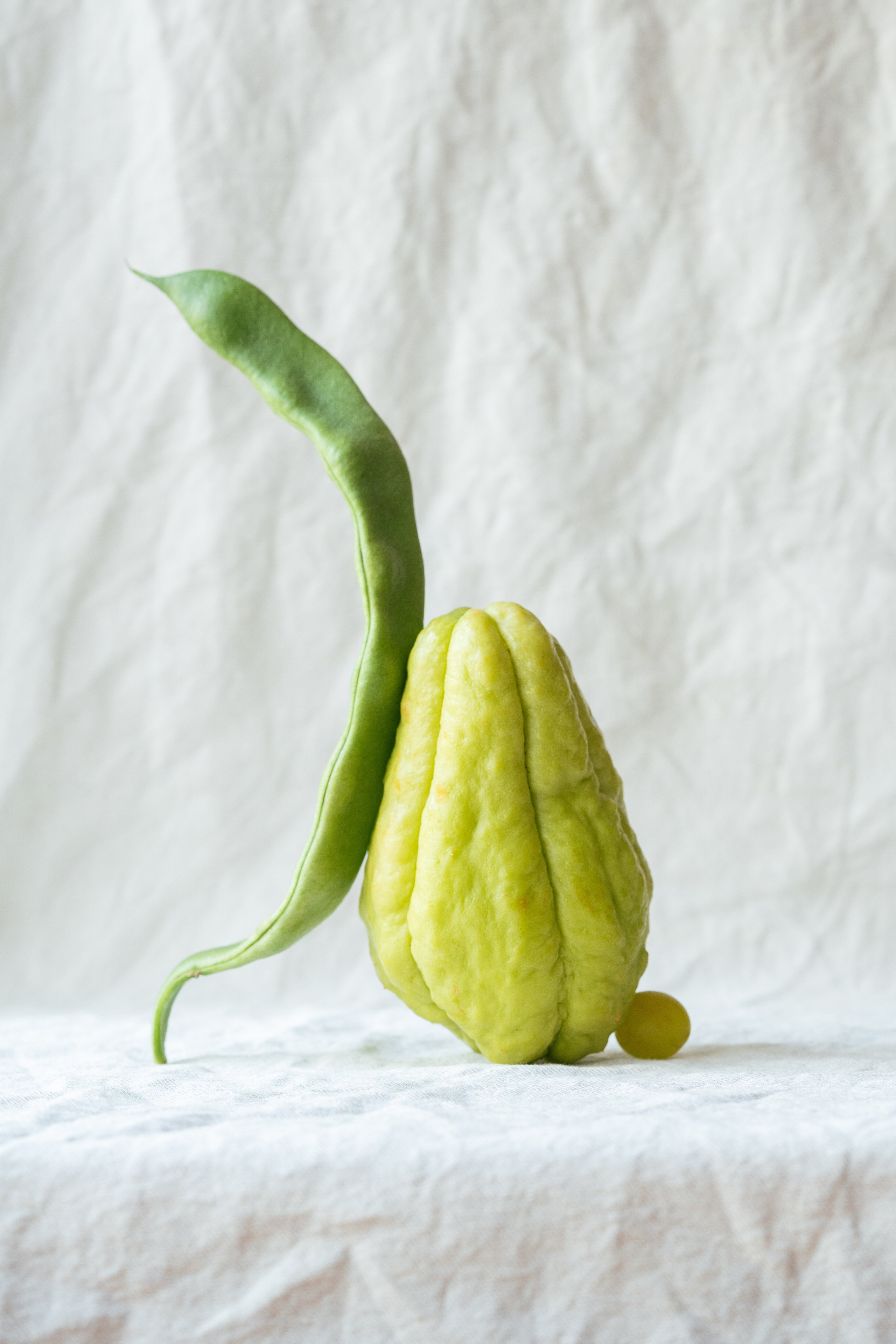 Green vegetables composition. Maria Sher. Fotógrafa profissional do Porto, Portugal