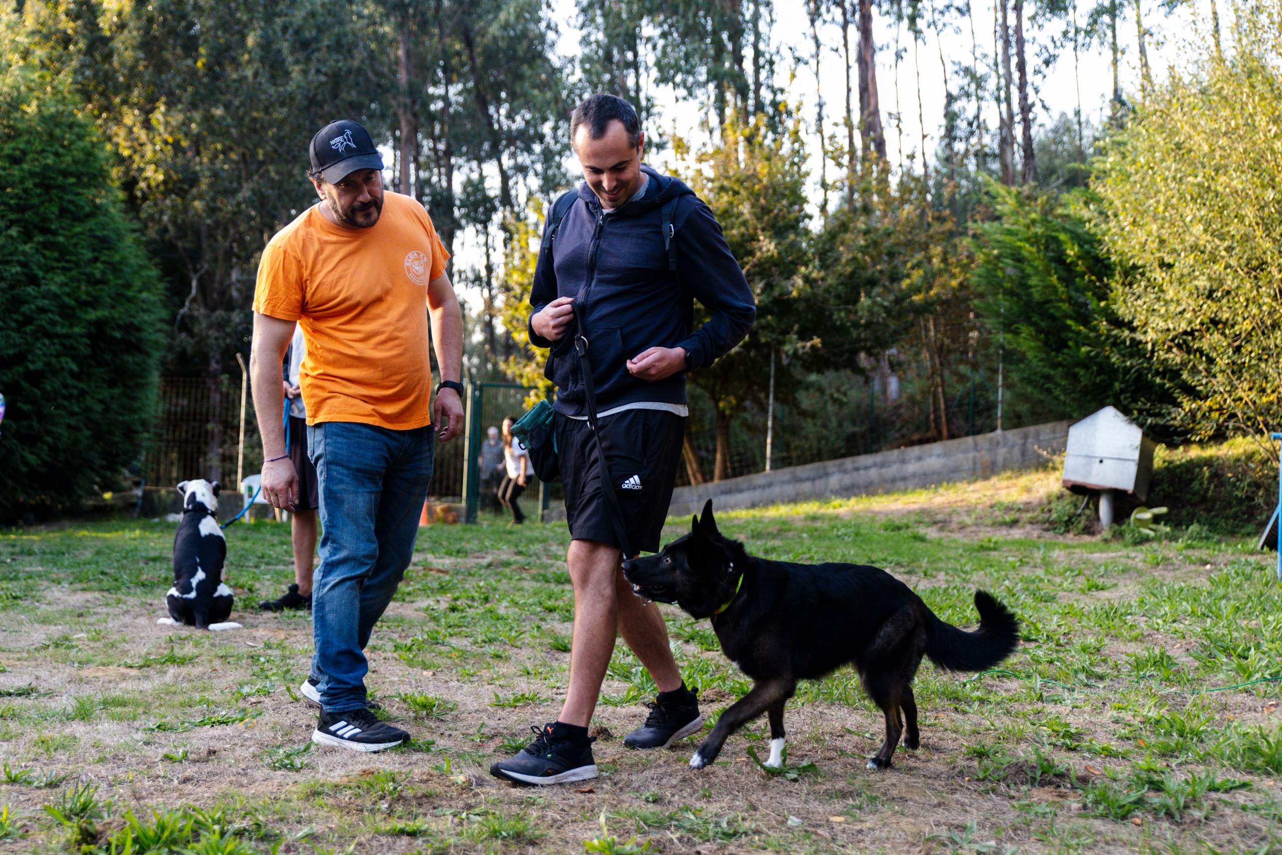 Sesiones fotográficas a mascotas. RabelByCris Fotógrafa en Coruña de Eventos, sesiones, mascotas